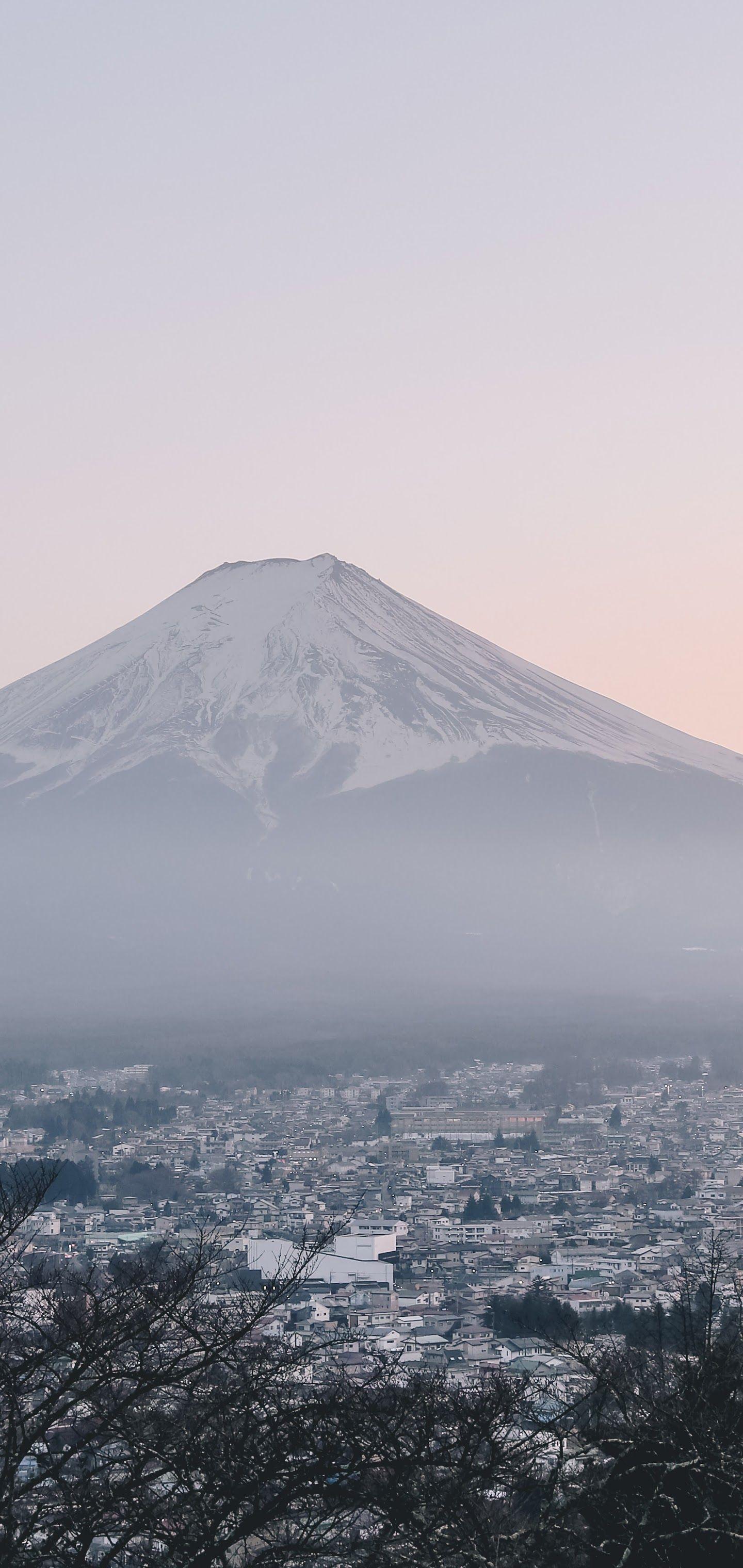 1440x3040 Mount Fuji City Japan Landscape Scenery 8K Wallpaper