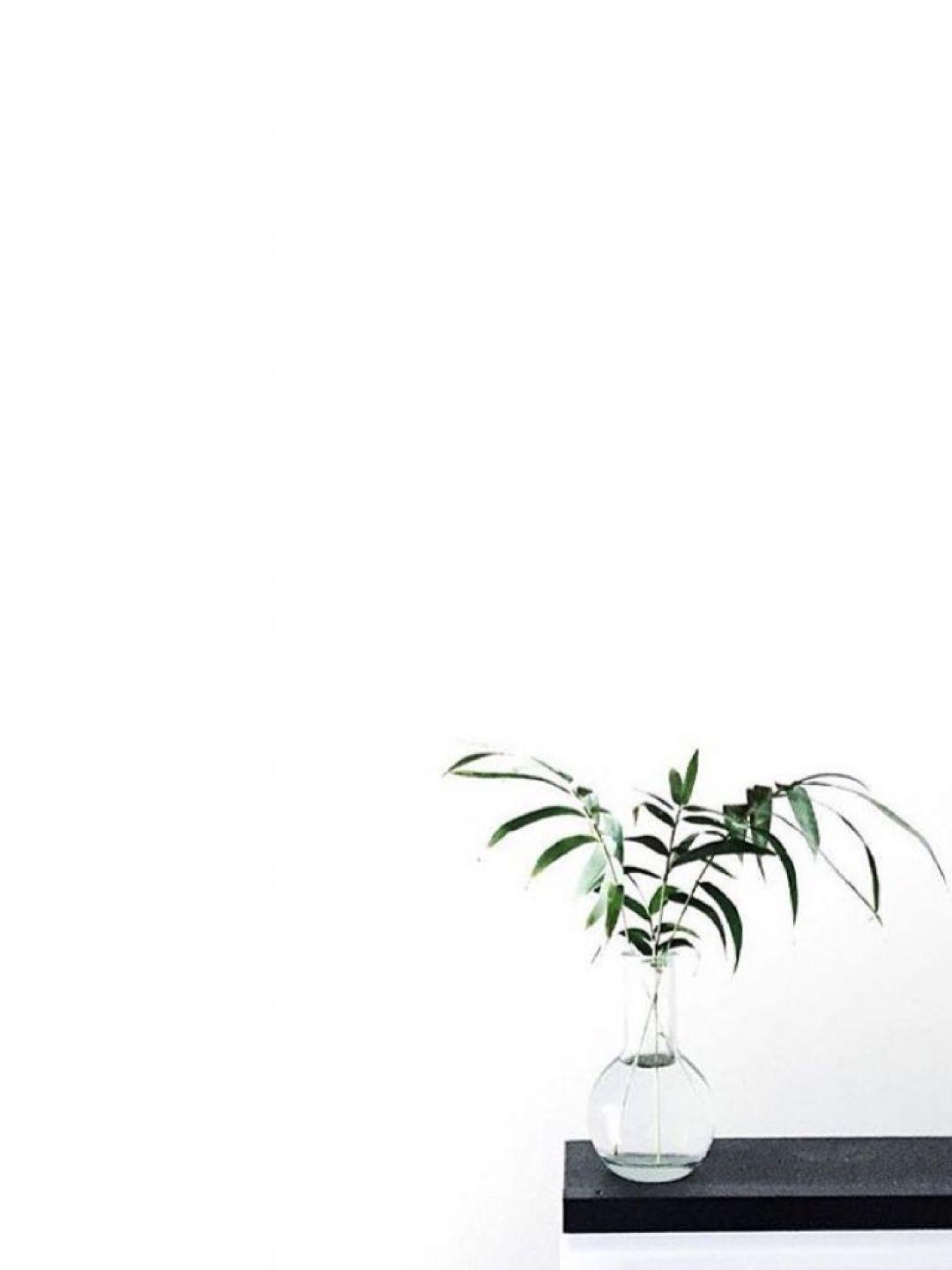 1080x1440 Minimal, iPhone, Desktop HD Background / Wallpaper (1080p, 4k) #hdwallpaper #androidwallpaper #i. Plant aesthetic, Plant wallpaper, Plants