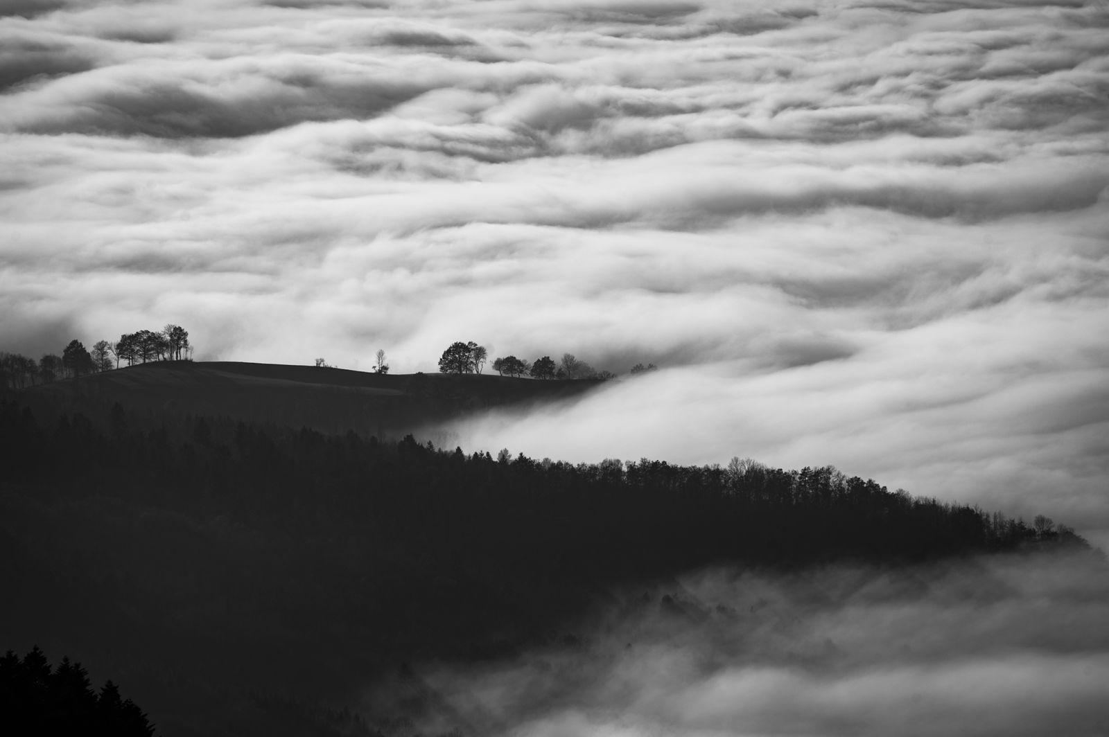1600x1064 Trees Clouds Black And White Forest Mountain Wallpaper.com. Best High Quality Wallpaper