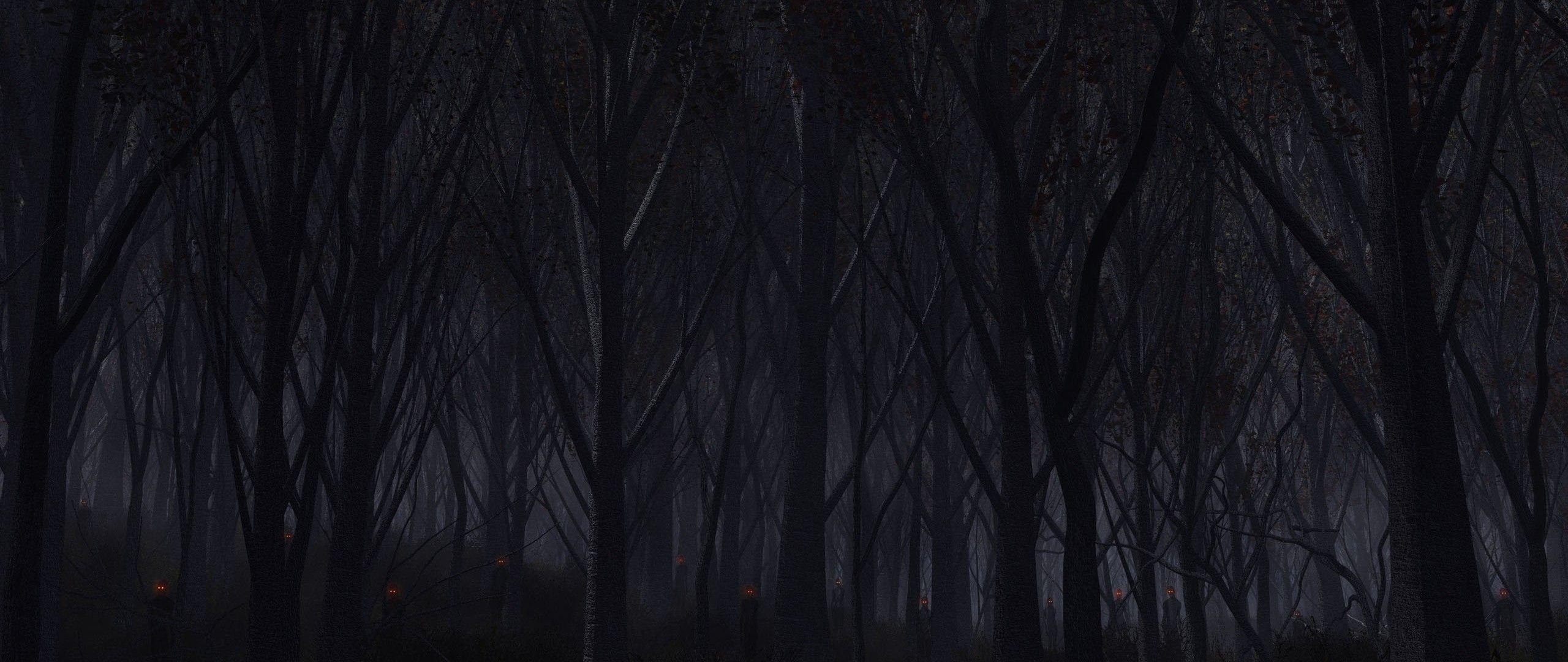 2560x1080 Black and White Forest