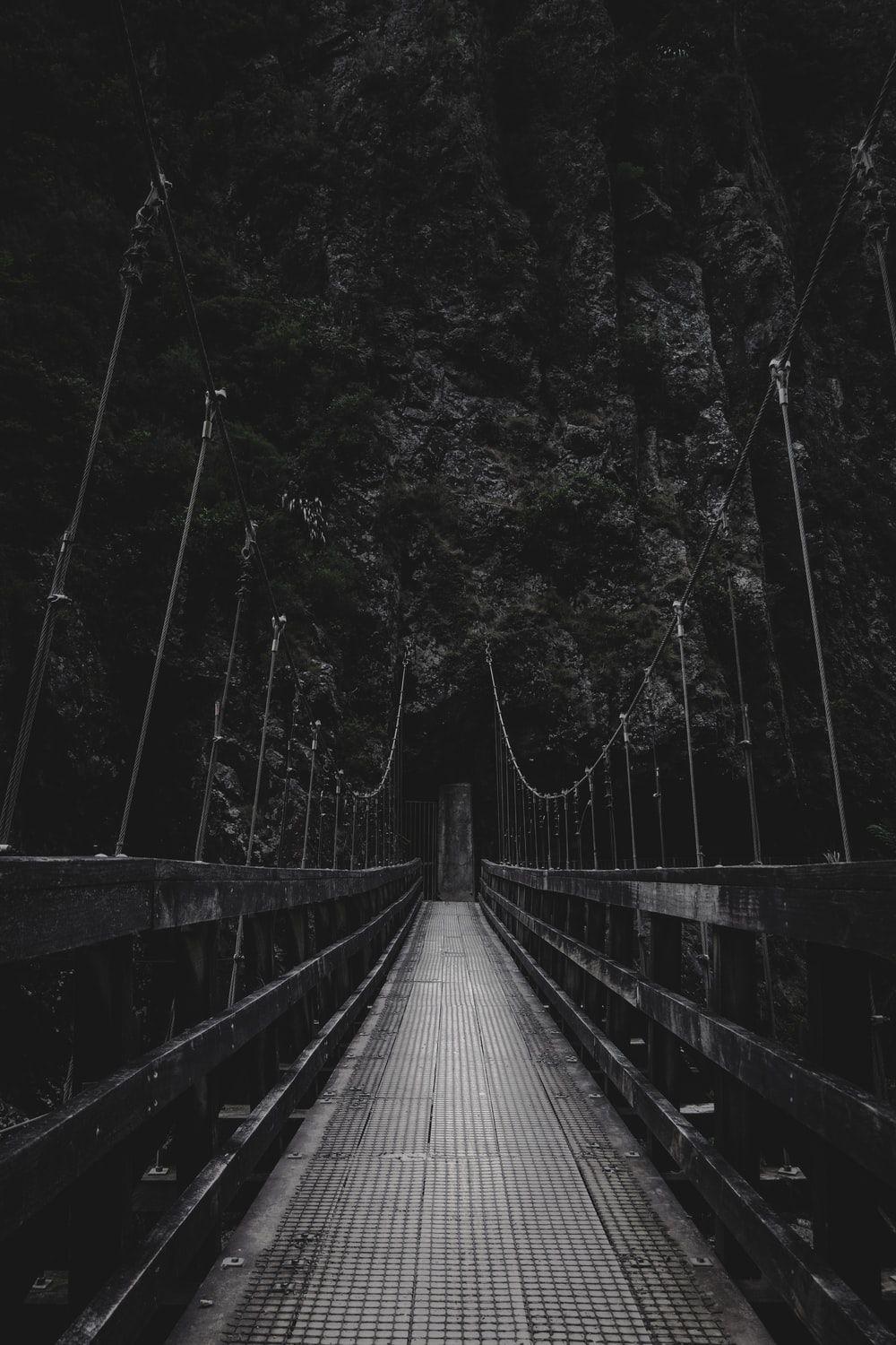 1000x1500 Black And White Forest Picture. Download Free Image