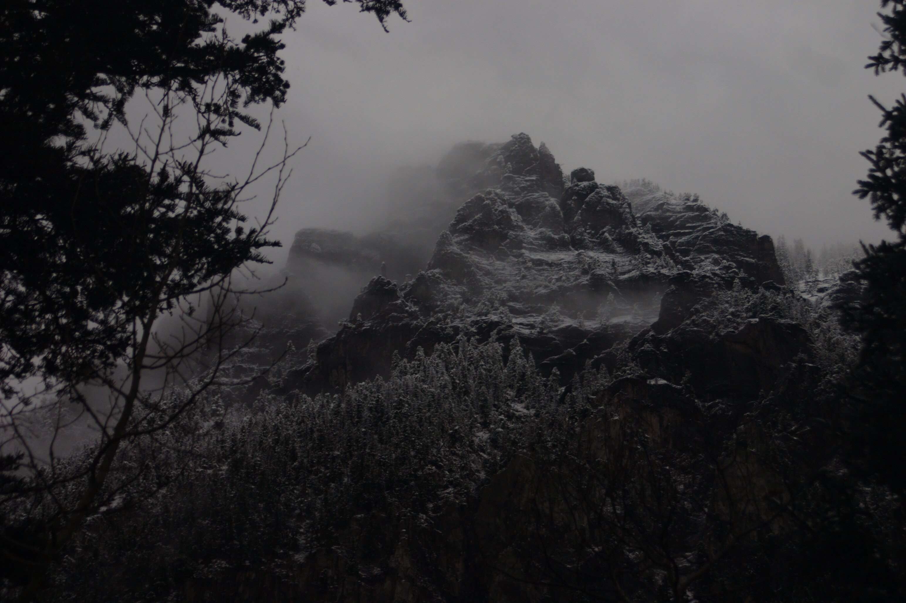 3088x2056 black and white, foggy, forest, mountains, nature, woods wallpaper. Mocah.org HD Desktop Wallpaper