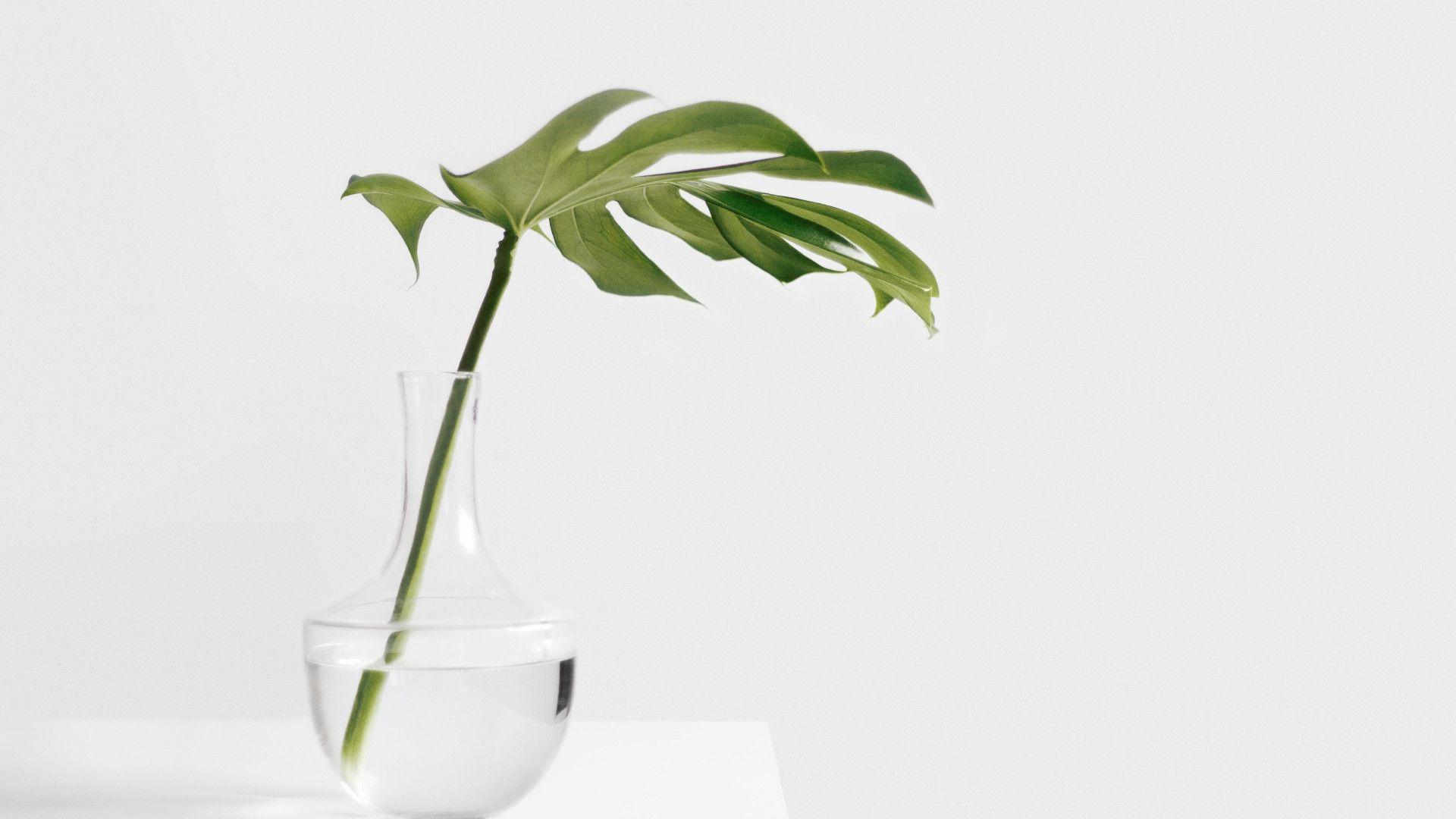 1920x1080 Download wallpaper: Minimalist design 1920x1080