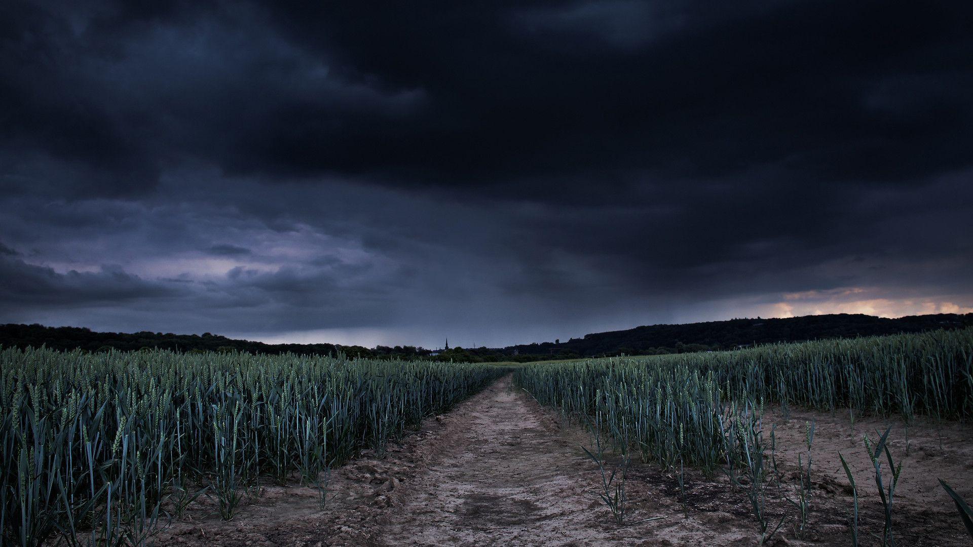 1920x1080 Cornfield