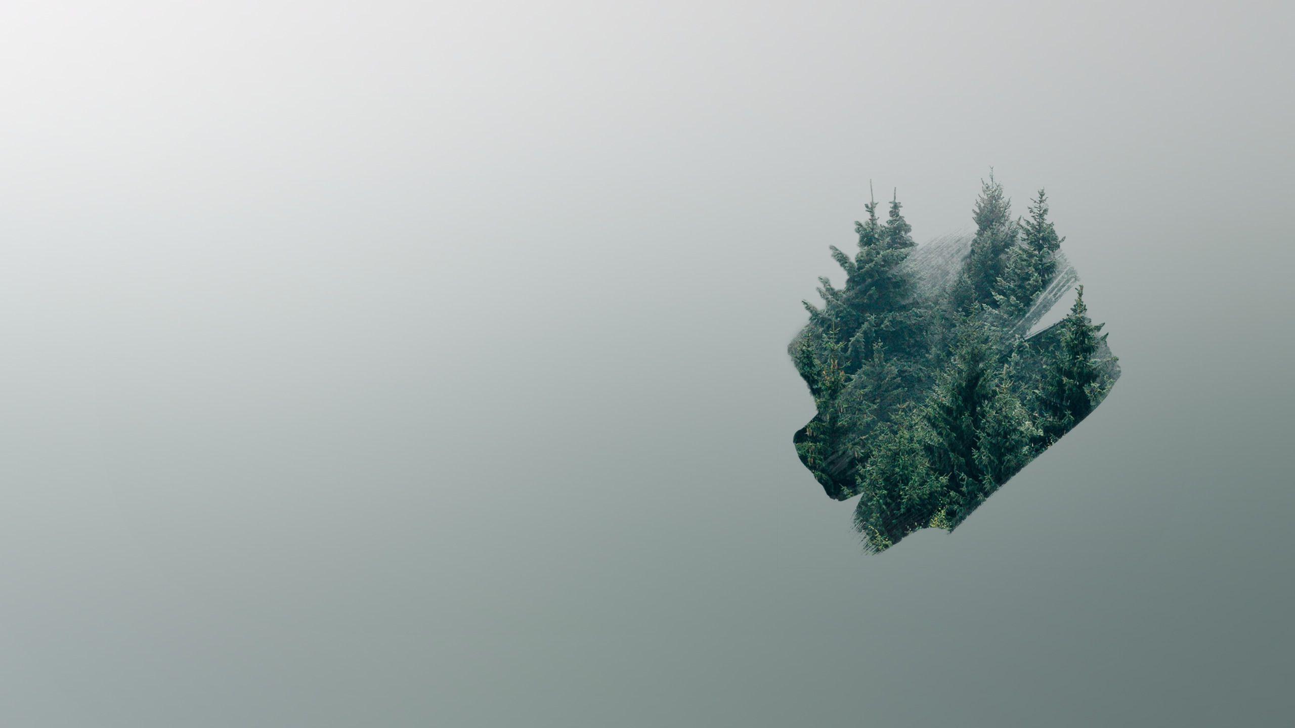 2560x1440 minimalist forest [2560x1440]