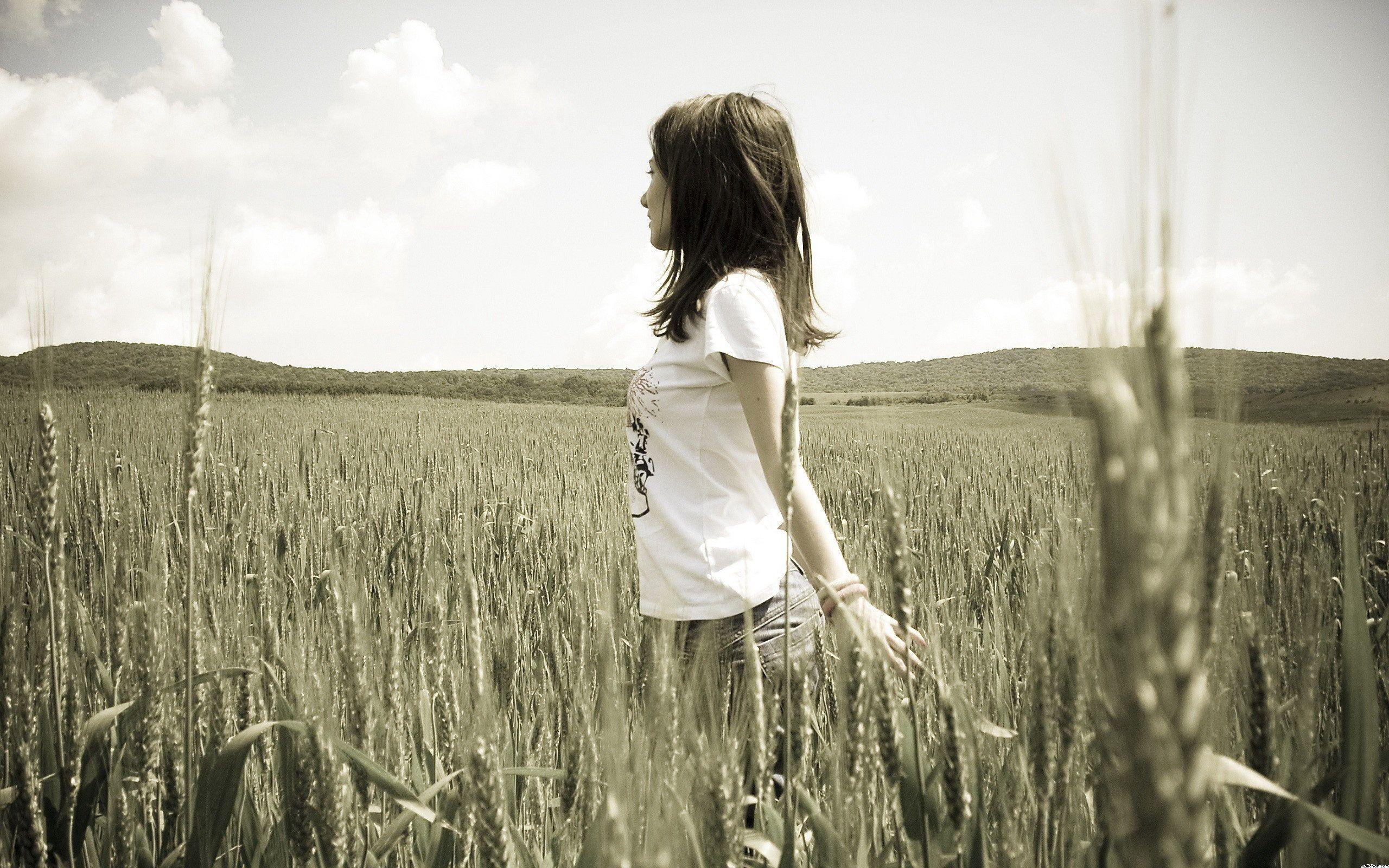2560x1600 Girl Alone In Cornfield Wallpaper