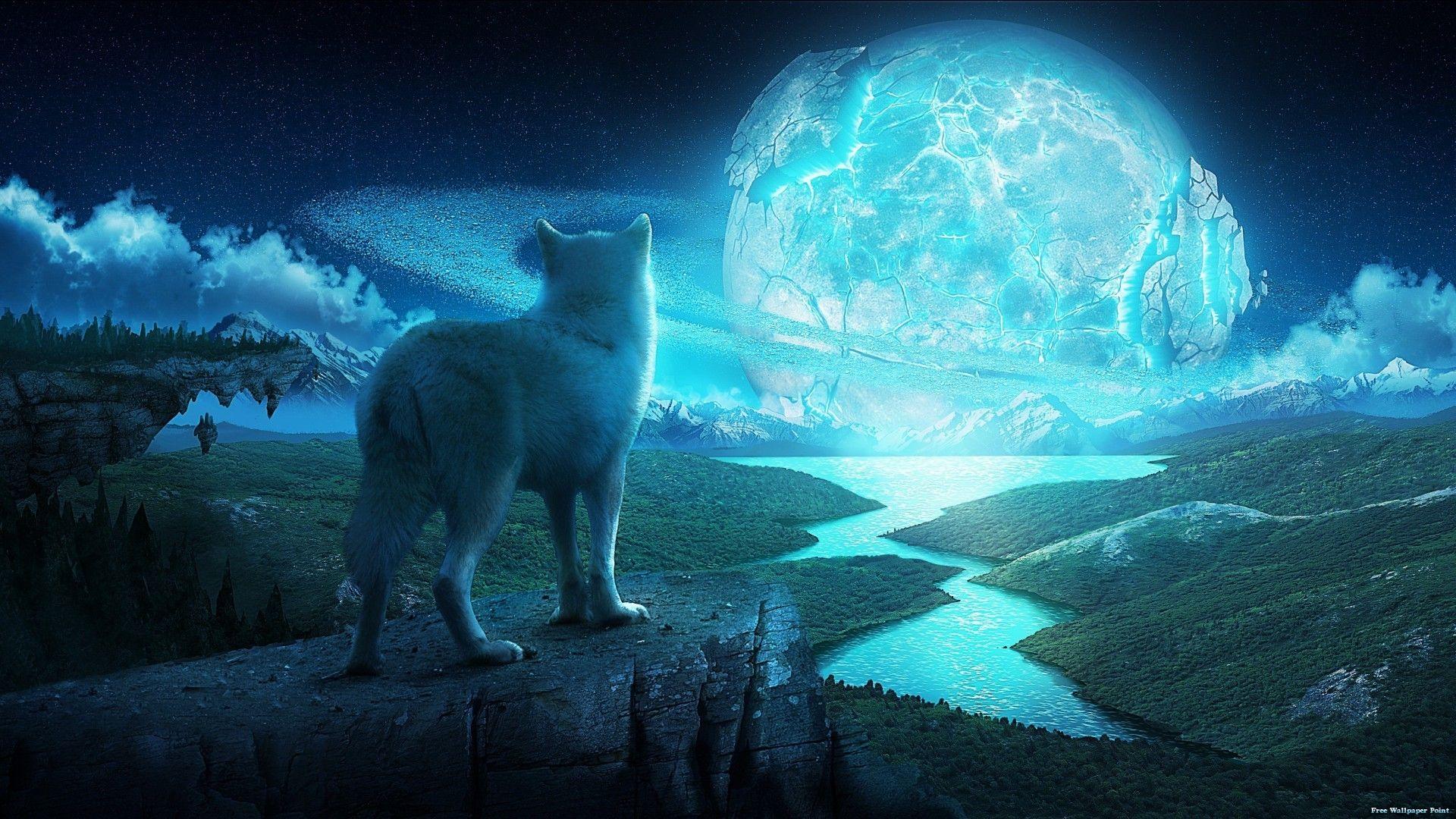 1920x1080 Trippy Wolf
