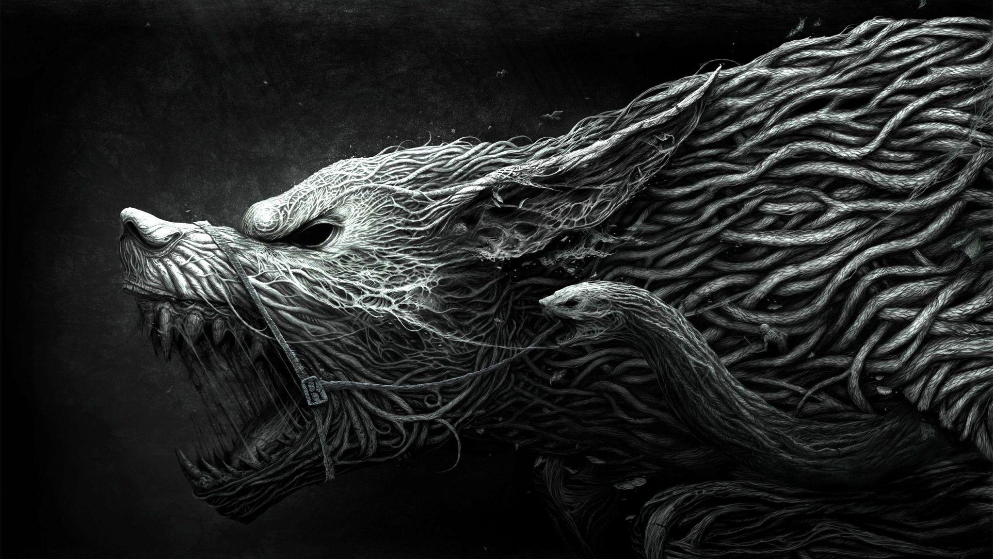 2048x1152 HD Wolf Wallpaper HD, Desktop Background 2048x1152 Downloads All