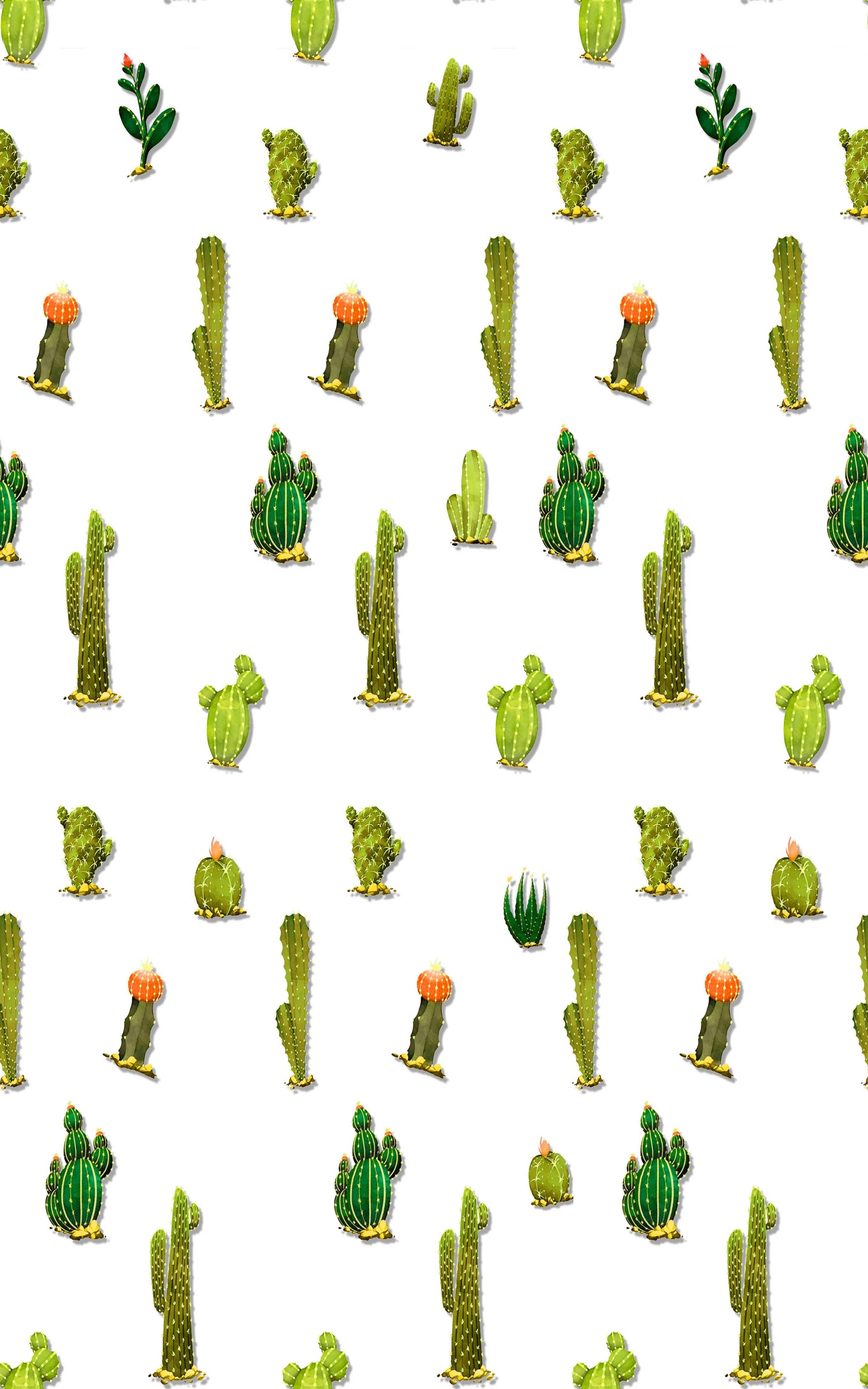 3000x4800 Pin de Elize en Achtergrond (con imágenes).  Fondos de cactus, Cactus hình nền, Fondo de pantalla para teléfonos