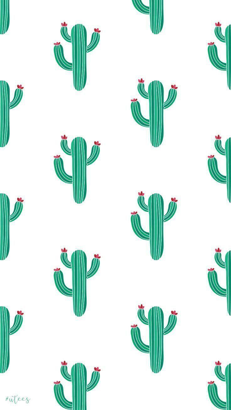 736x1309 Cacti!. Wallpaper iphone cute, Cute patterns wallpaper, Cute wallpaper for phone
