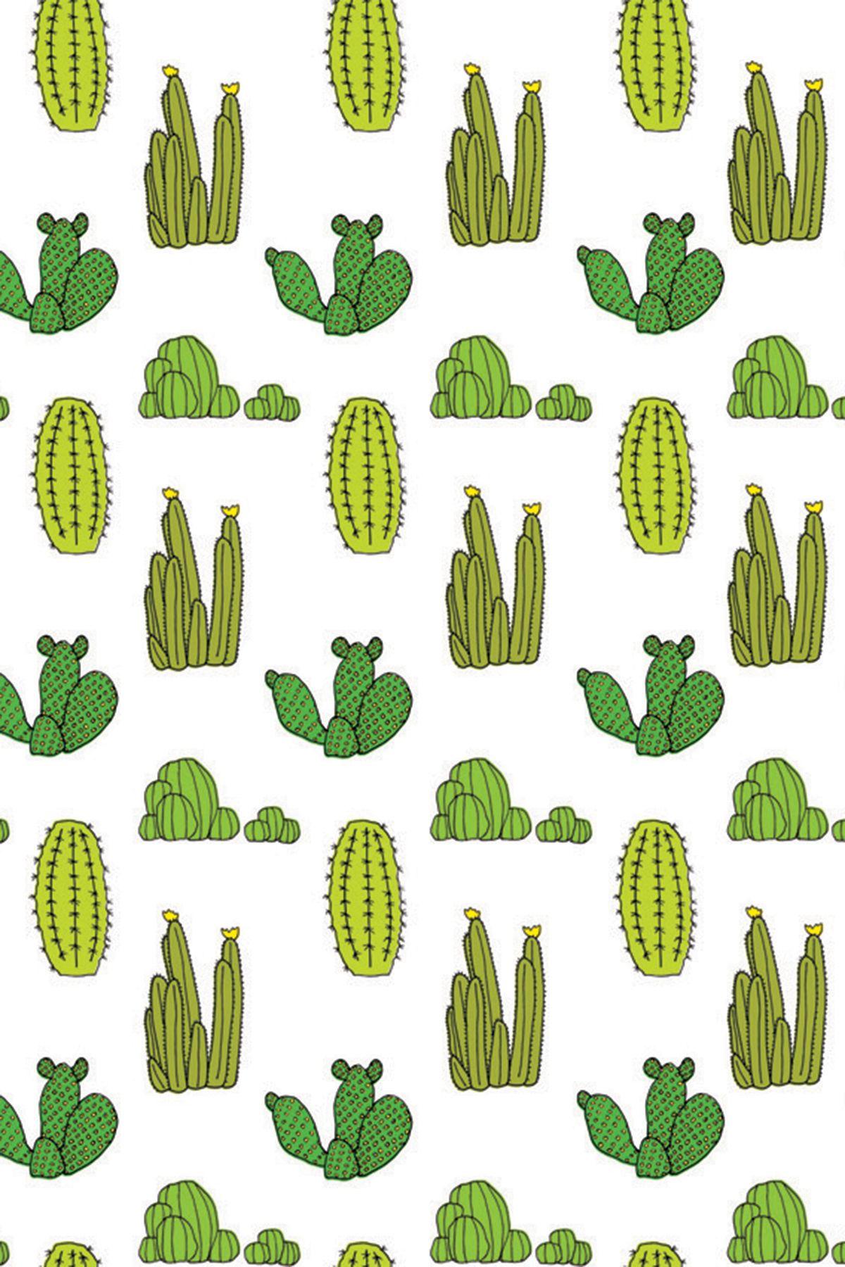 1200x1800 Cactus hình nền Tumblr