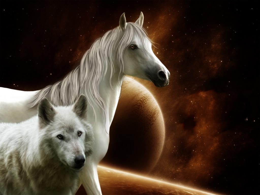1024x768 White Wolf Quotes. QuotesGram