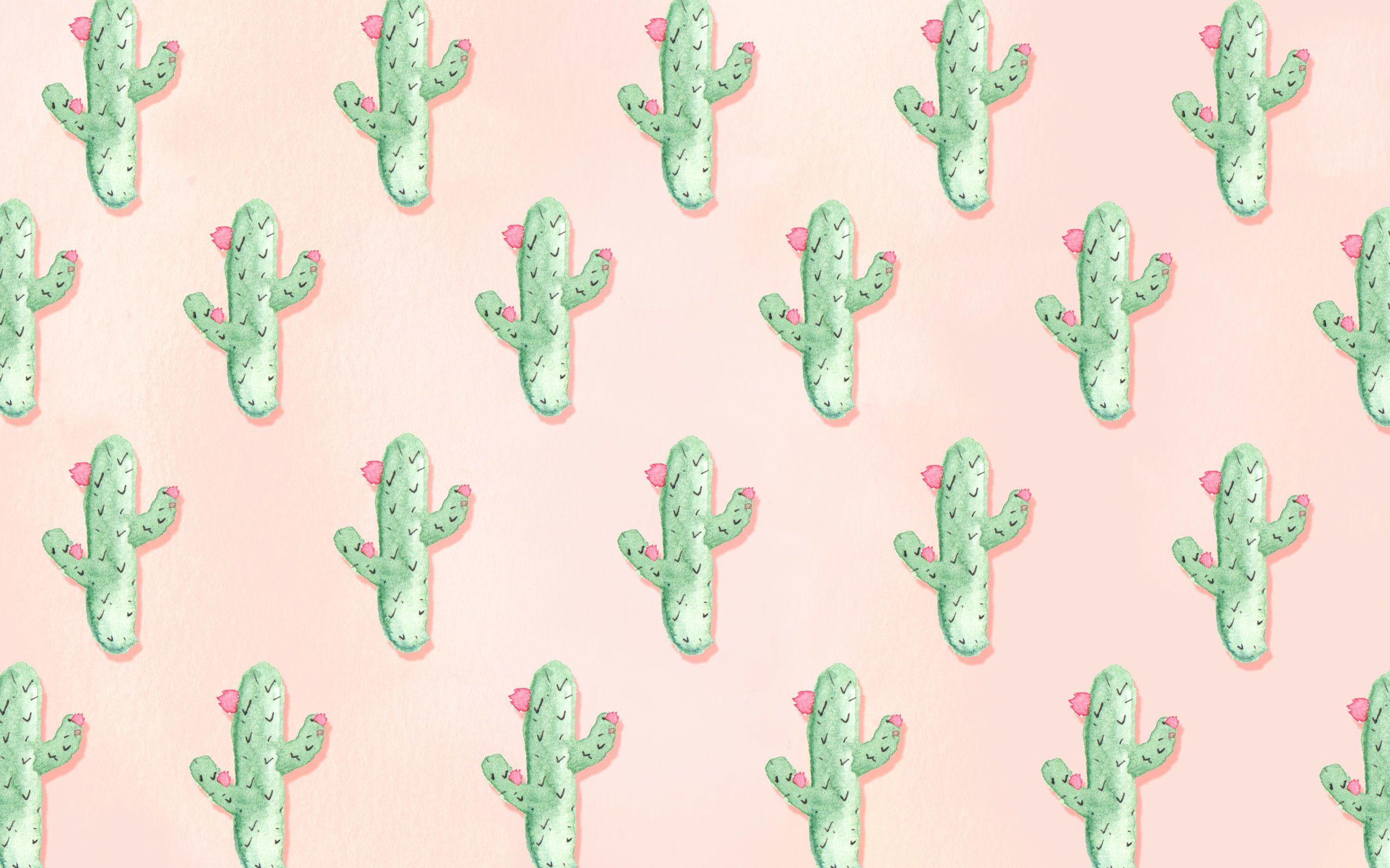 2560x1600 Cactus Desktop Background