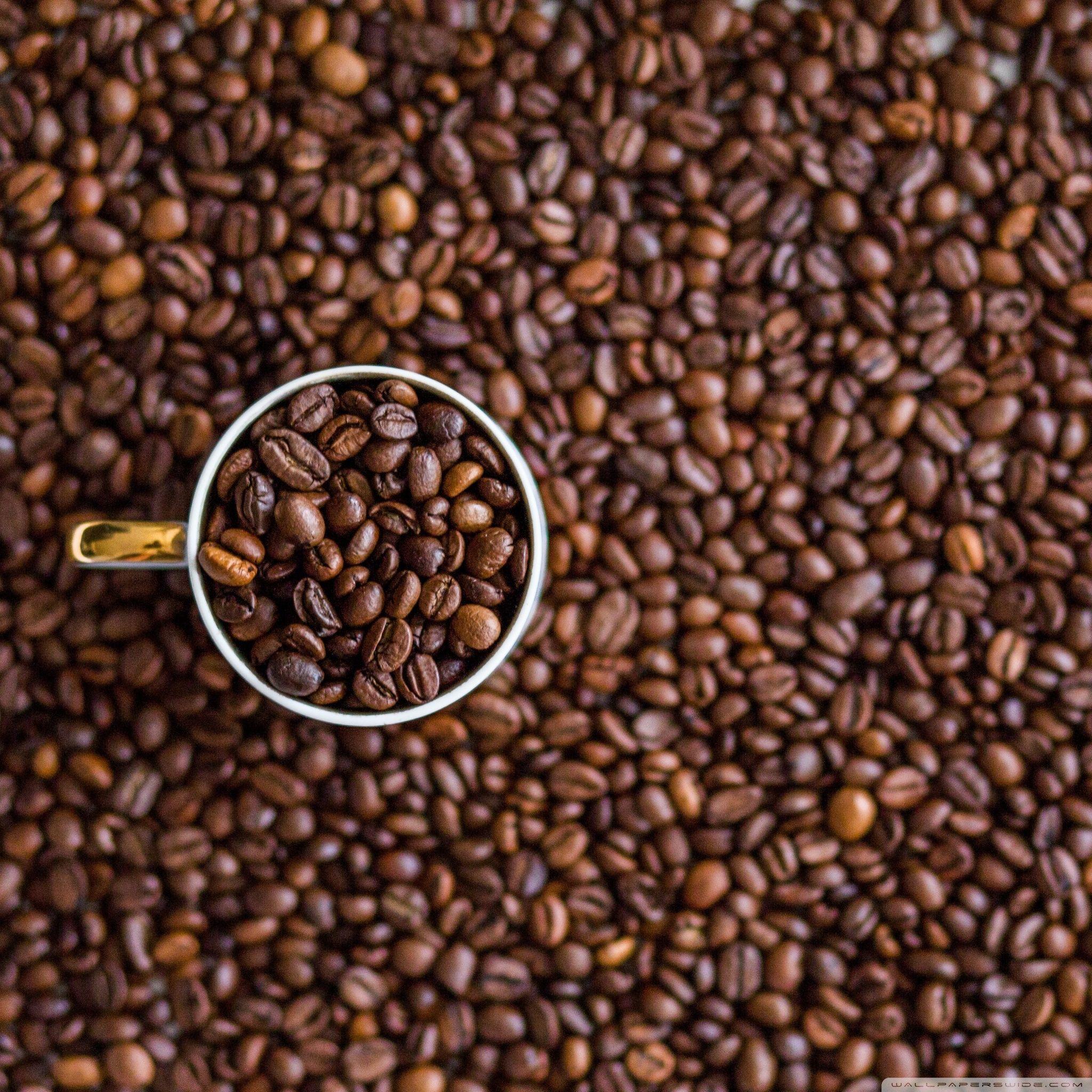 2048x2048 Coffee Beans Ultra HD Desktop Background Wallpaper for 4K UHD TV : Widescreen & UltraWide Desktop & Laptop : Multi Display, Dual Monitor : Tablet