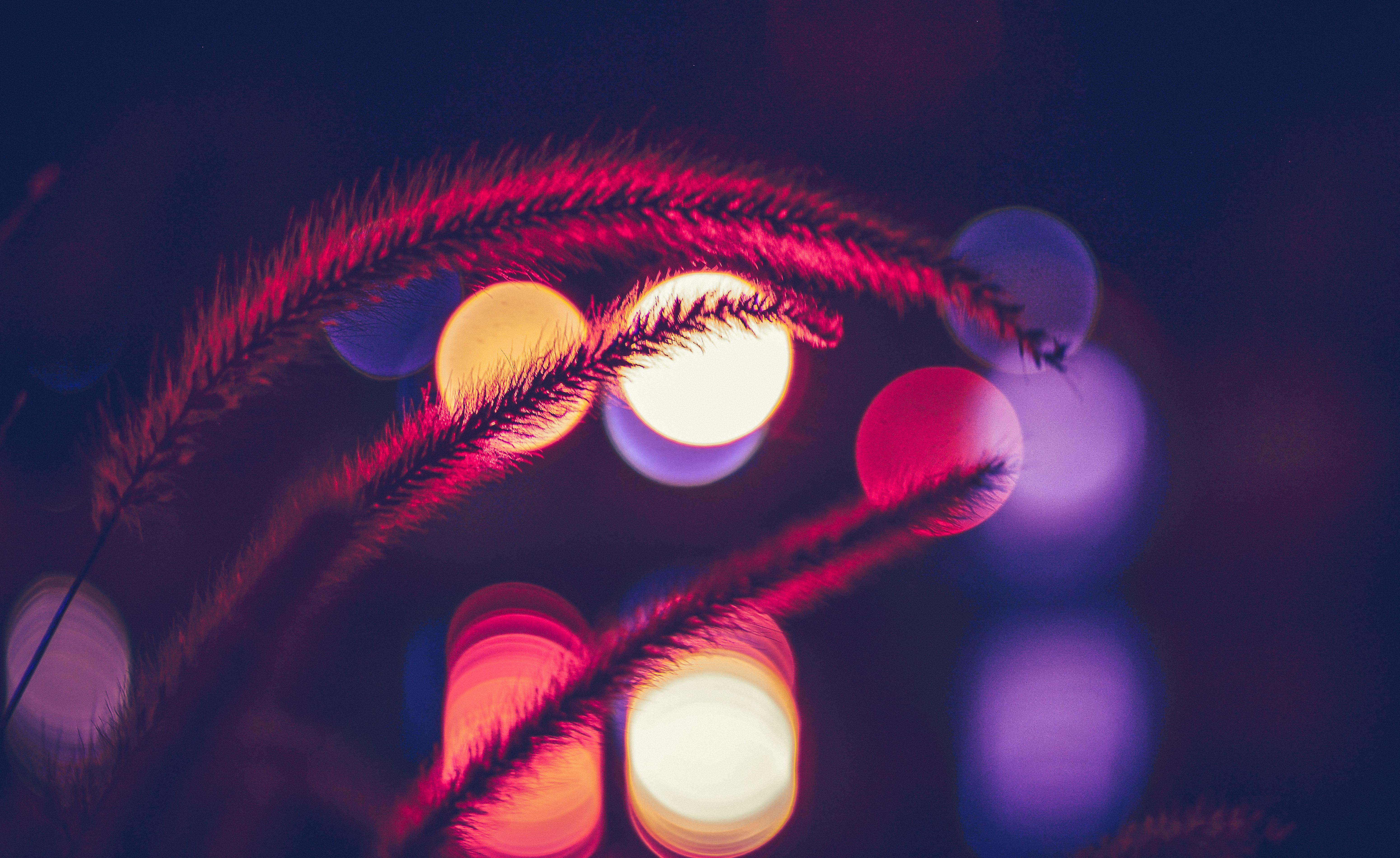 6200x3800 Wallpaper Lights, Bokeh, Blurry, Night, HD, 5K, Photography / Editor's Picks,. Wallpaper for iPhone, Android, Mobile and Desktop