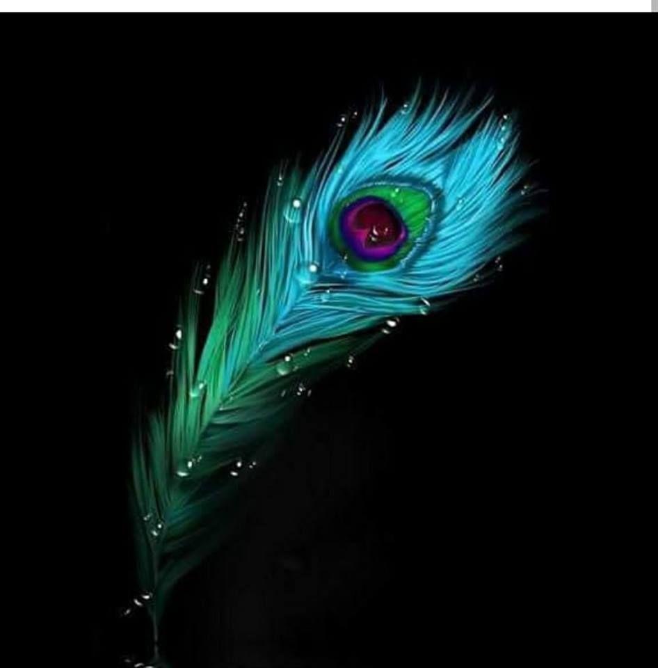 Peacock Feather Iphone Black Krishna Hd Wallpaper - Goimages Ify