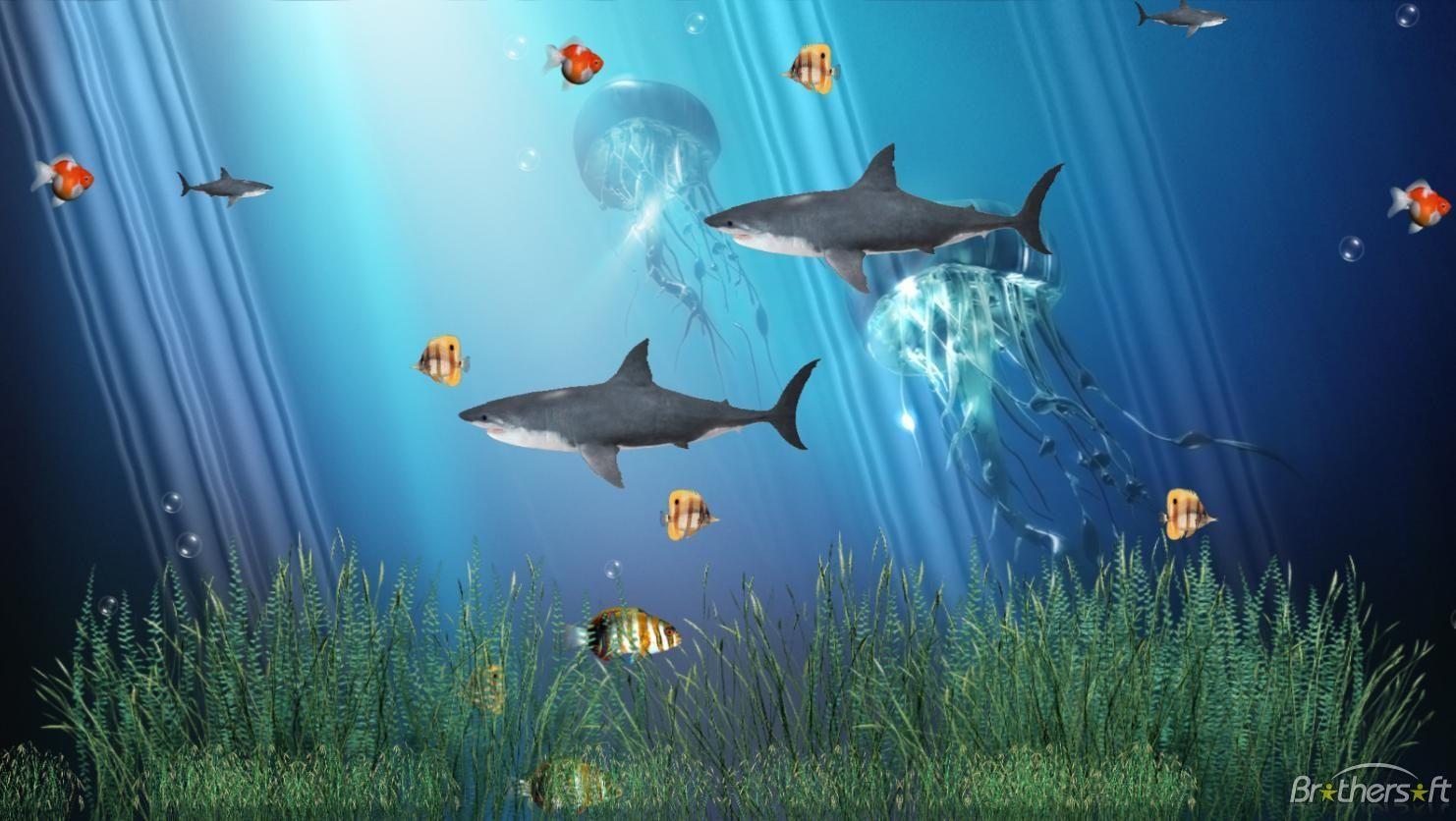 1482x836 Free download Download Coral Reef Aquarium Animated Wallpaper Coral Reef [1482x836] for your Desktop, Mobile & Tablet. Explore 3D Aquarium Wallpaper Free Download. Free 3D Fish Tank Wallpaper, Free