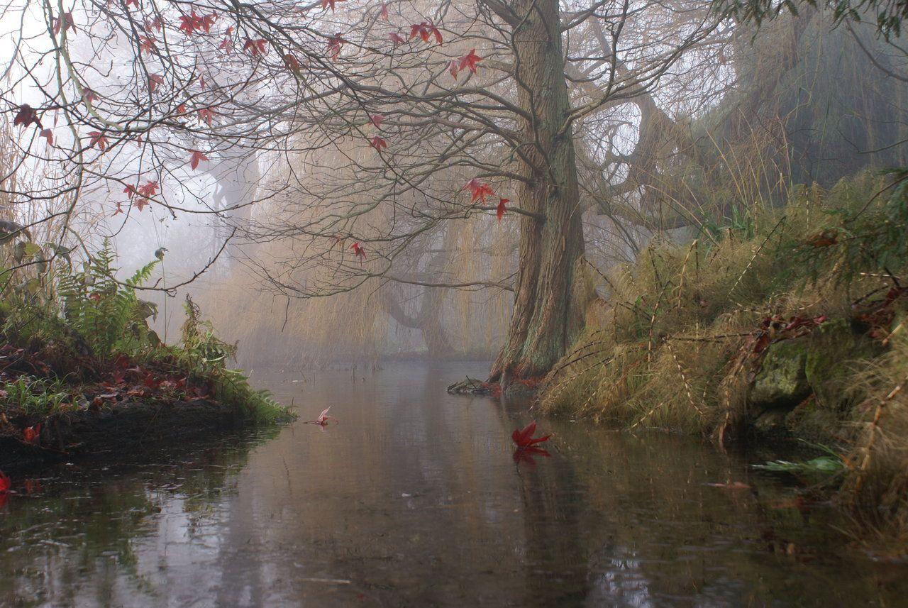 1280x857 Cambridge University Botanic Garden by awropa. Nature wallpaper, Wallpaper pc, iPad air wallpaper