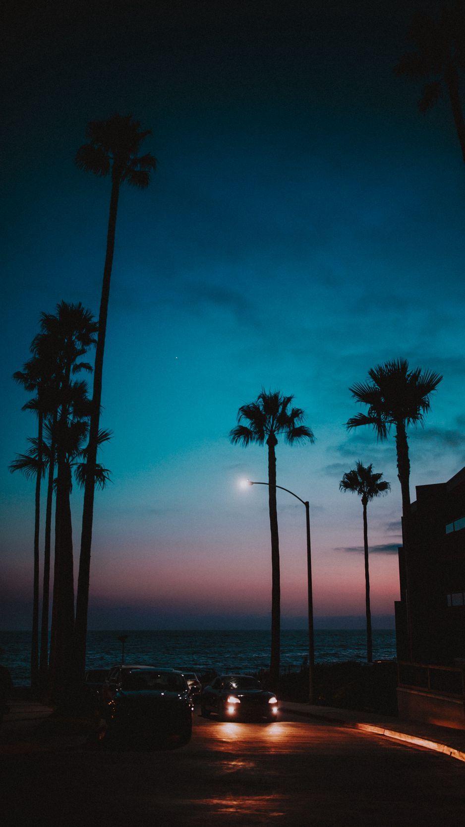 938x1668 Download Wallpaper 938x1668 Cars, Palm Trees, Sunset, Night, Tropics Iphone 8 7 6s 6 For Parallax HD Background