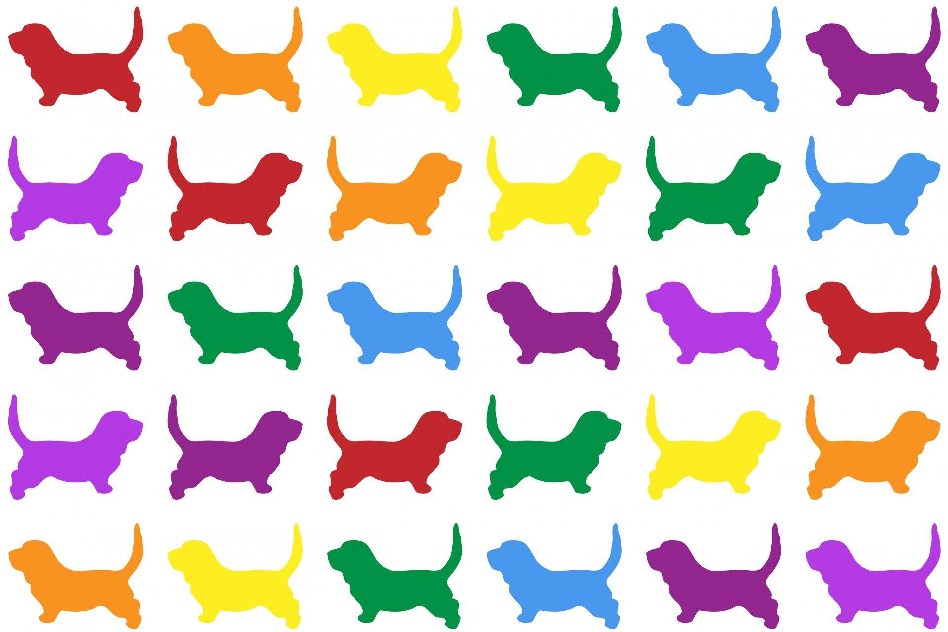 Rainbow Dog Wallpapers Top Free Rainbow Dog Backgrounds WallpaperAccess