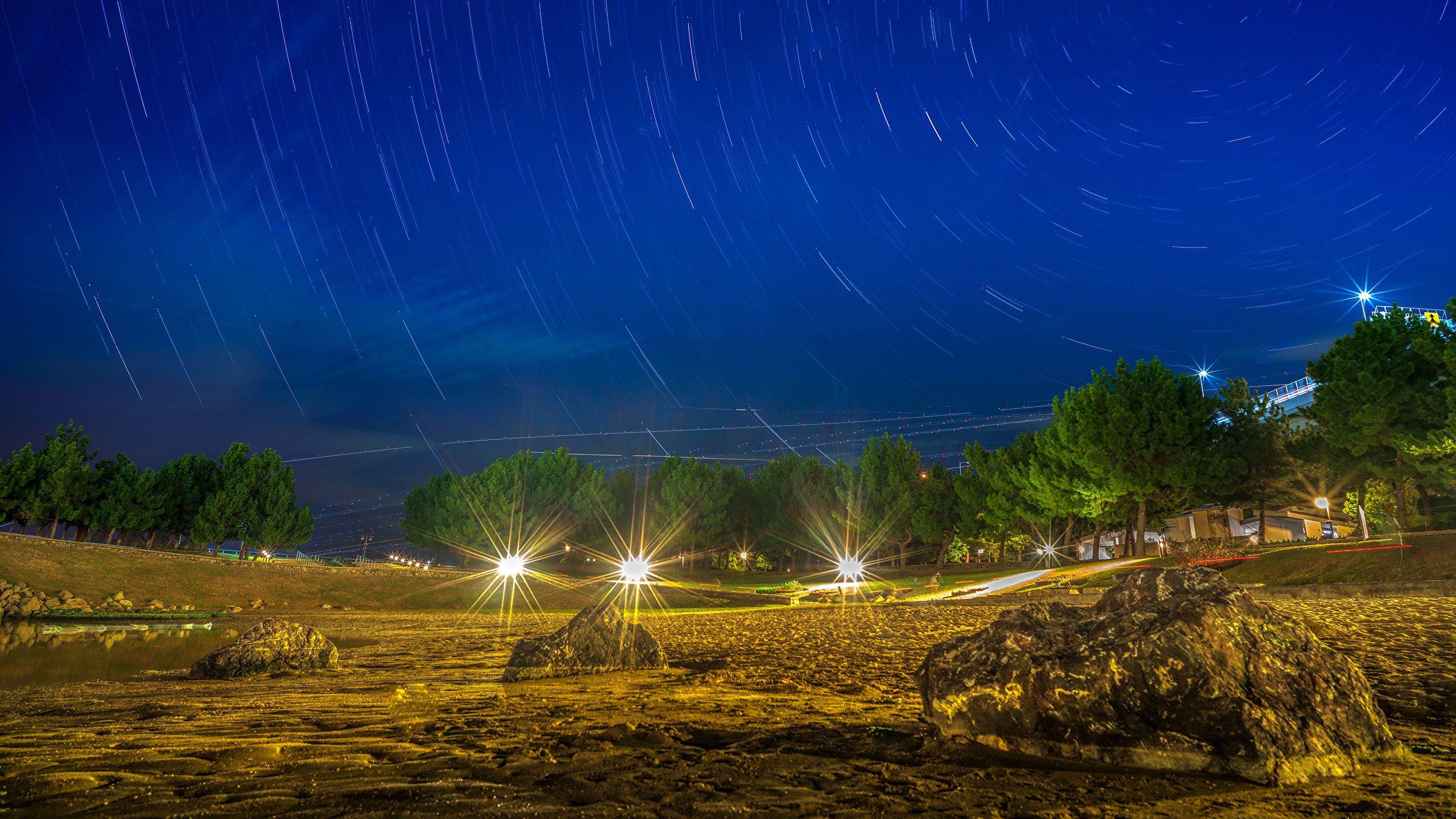 2560x1440 Photo Rays of light Nature stone night time Trees 2560x1440