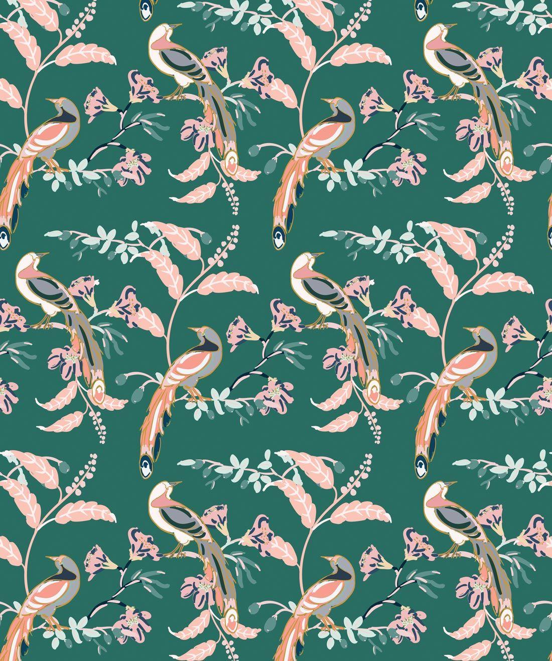 1100x1318 Birds Of Paradise • Tropical Bird Wallpaper