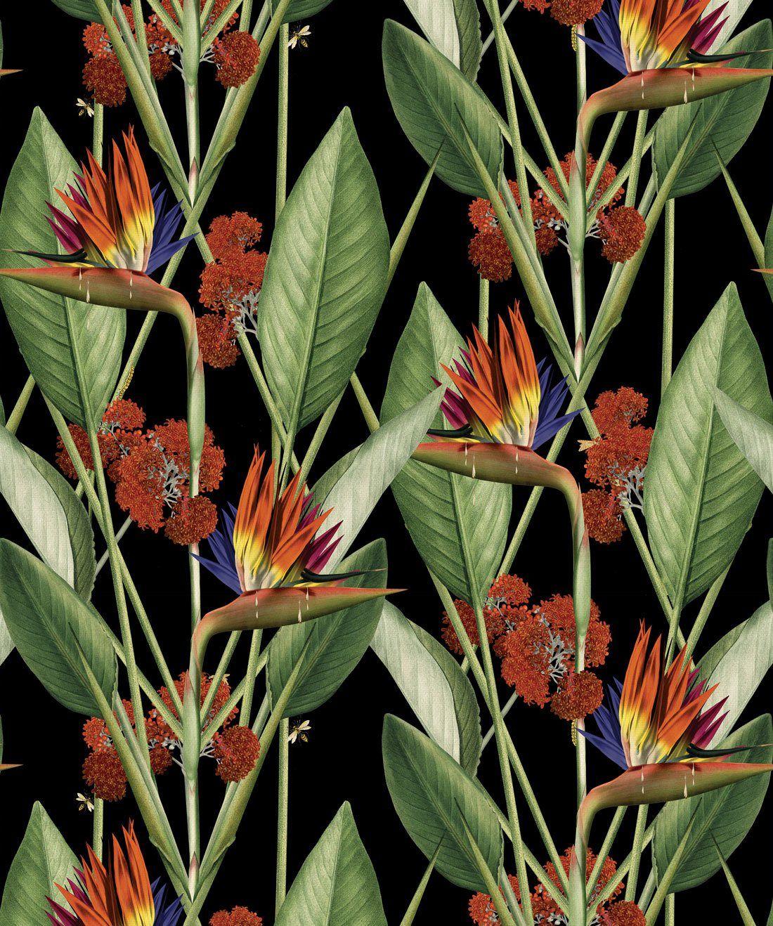 1100x1318 Birds of Paradise Wallpaper in Night from the Kingdom Home Collection