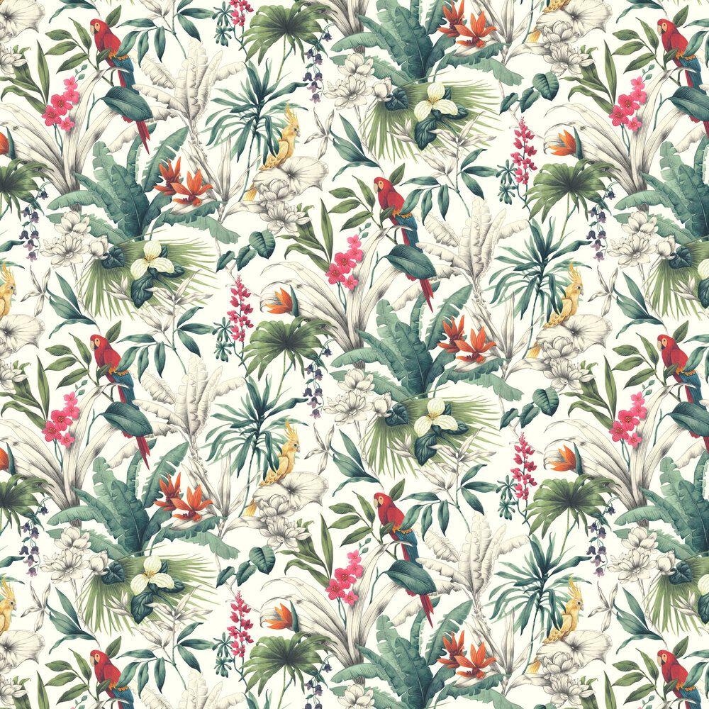 1000x1000 Bird of Paradise by Accessorize Coloured : Wallpaper Direct