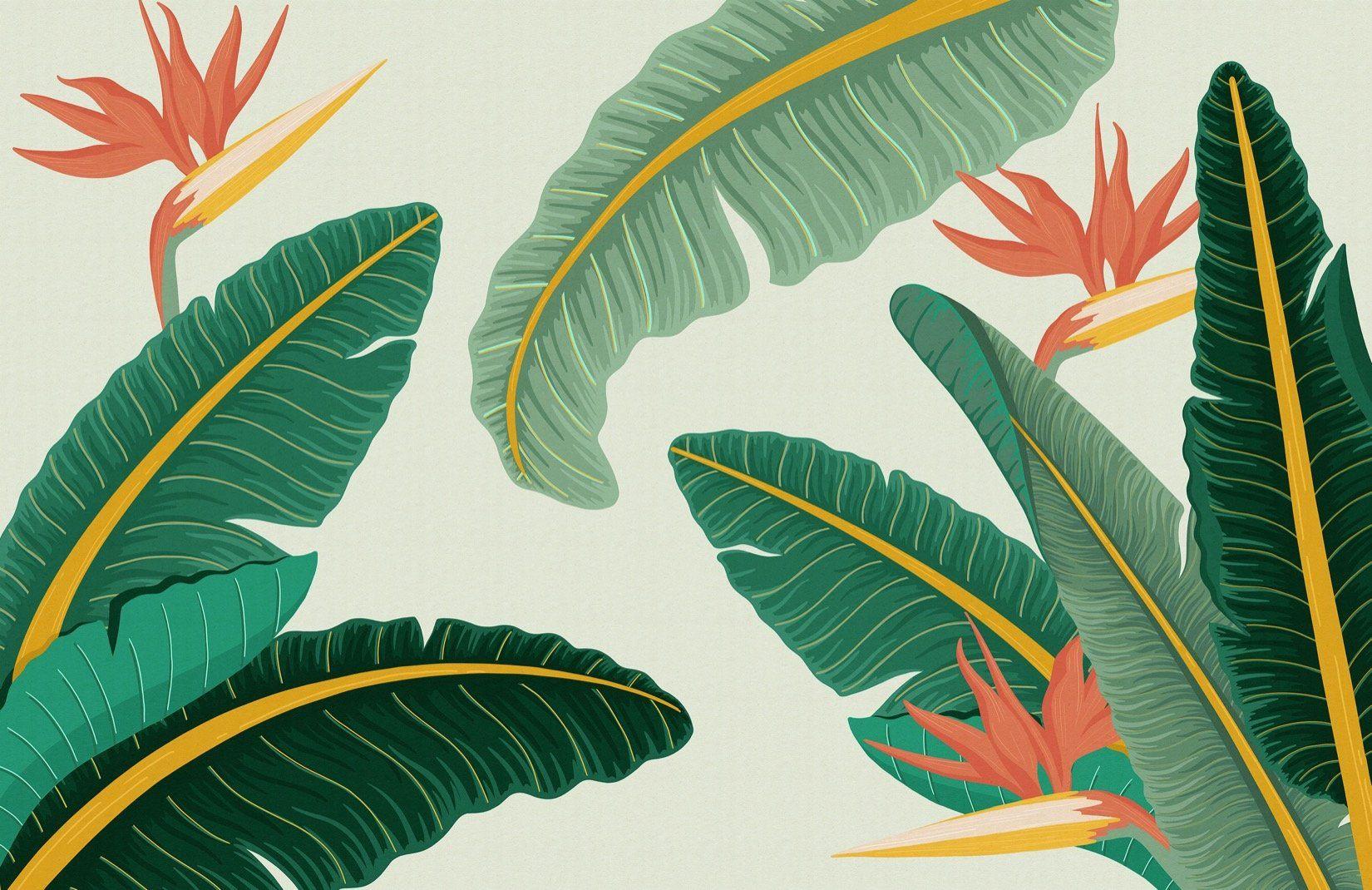 1650x1070 Tropical Green Banana Leaf Wallpaper Mural