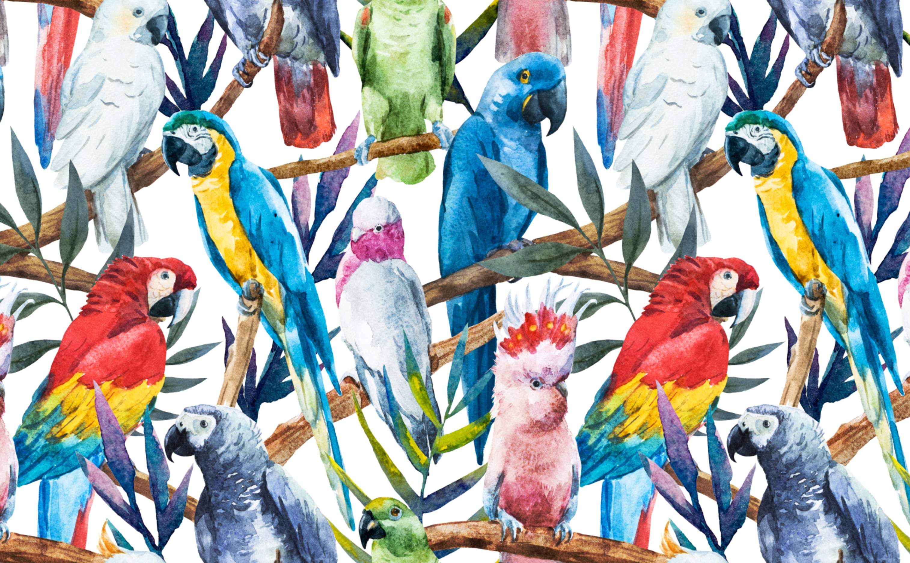 3028x1872 Paradise of Birds Wallpaper for Walls
