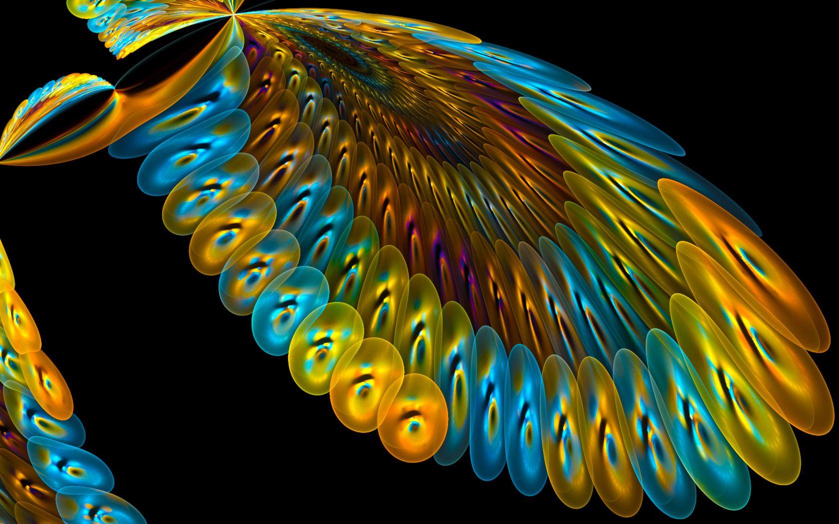 1680x1050 Free download iPhone 5 Bird of Paradise Wallpaper Bird of Paradi iPhone 5 [1680x1050] for your Desktop, Mobile & Tablet. Explore Birds Of Paradise Wallpaper. Bird of Paradise Flower Wallpaper, Matthew Williamson Wallpaper