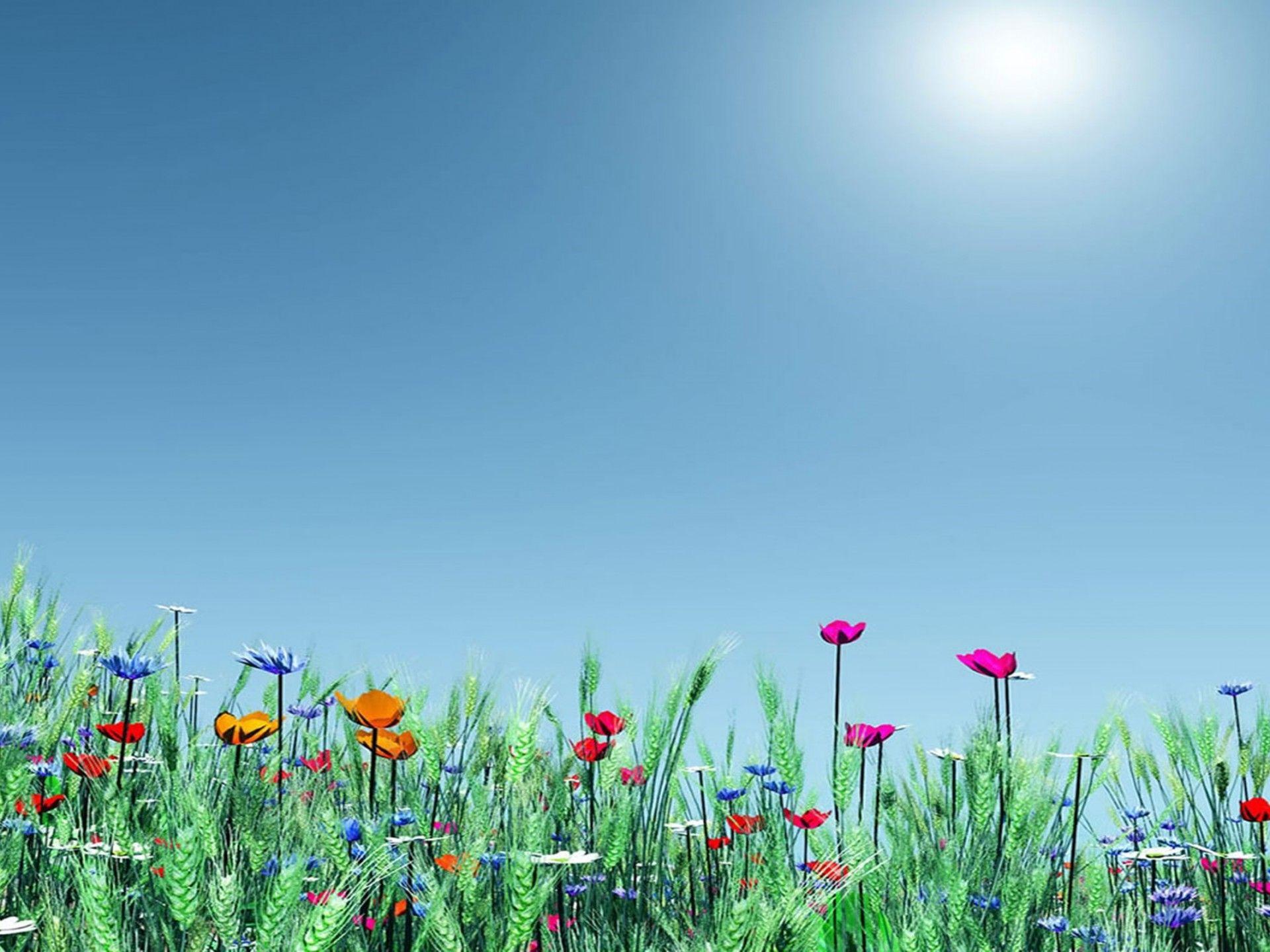 Spring Meadow Wallpapers - Top Free Spring Meadow Backgrounds
