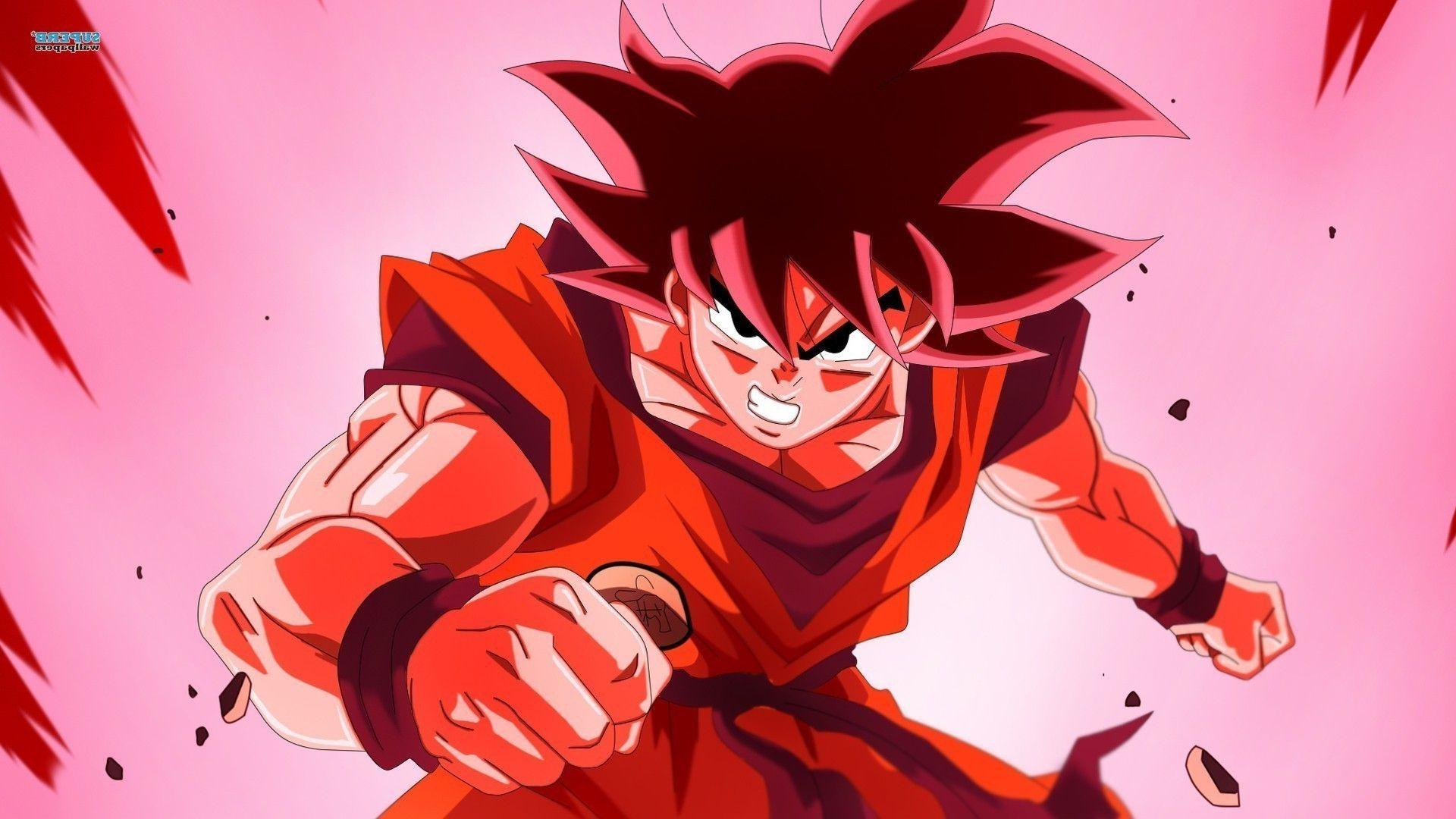 1920x1080 Goku Super Saiyan God Wallpaper