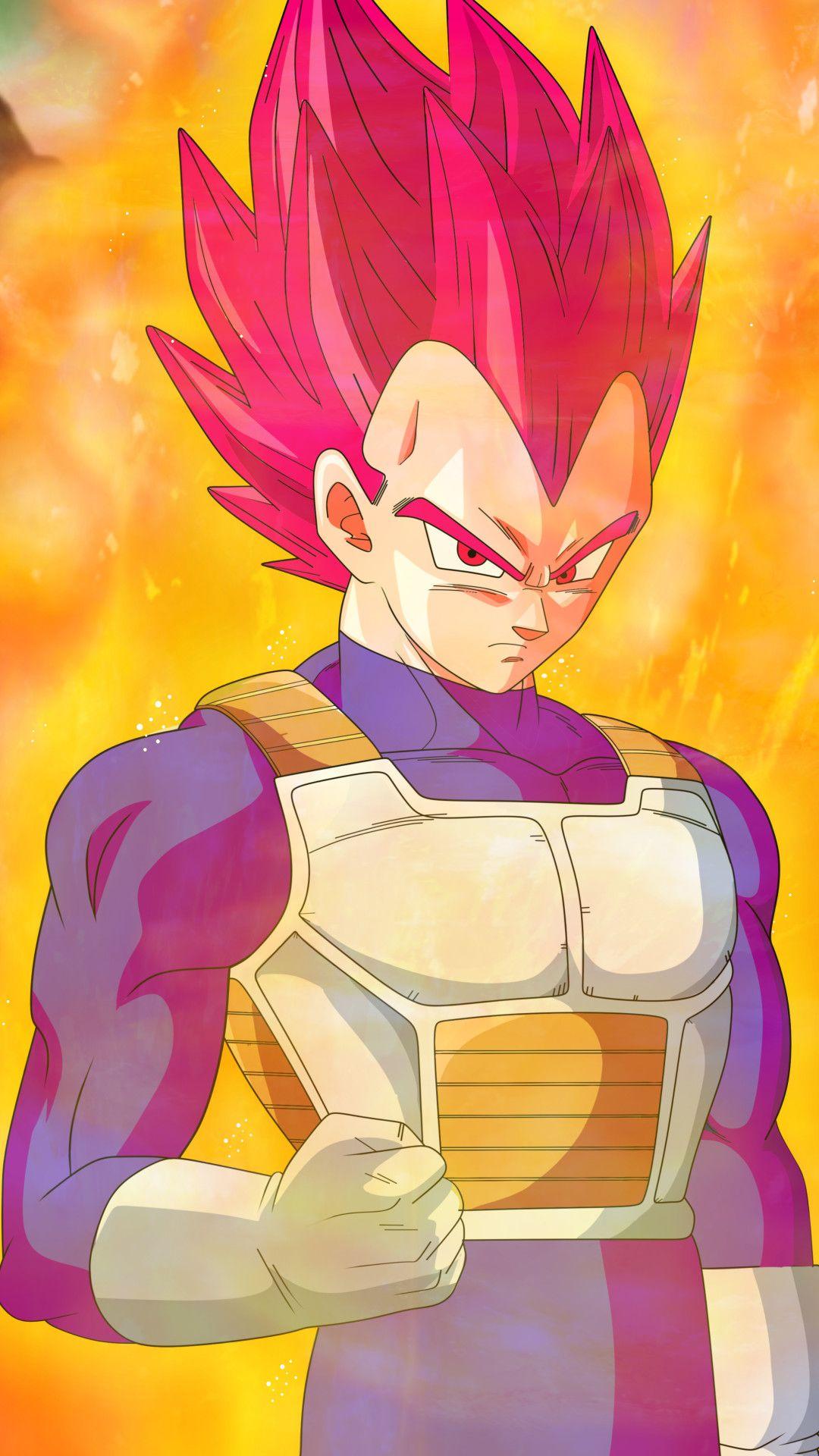 1080x1920 Vegeta Super Saiyan God