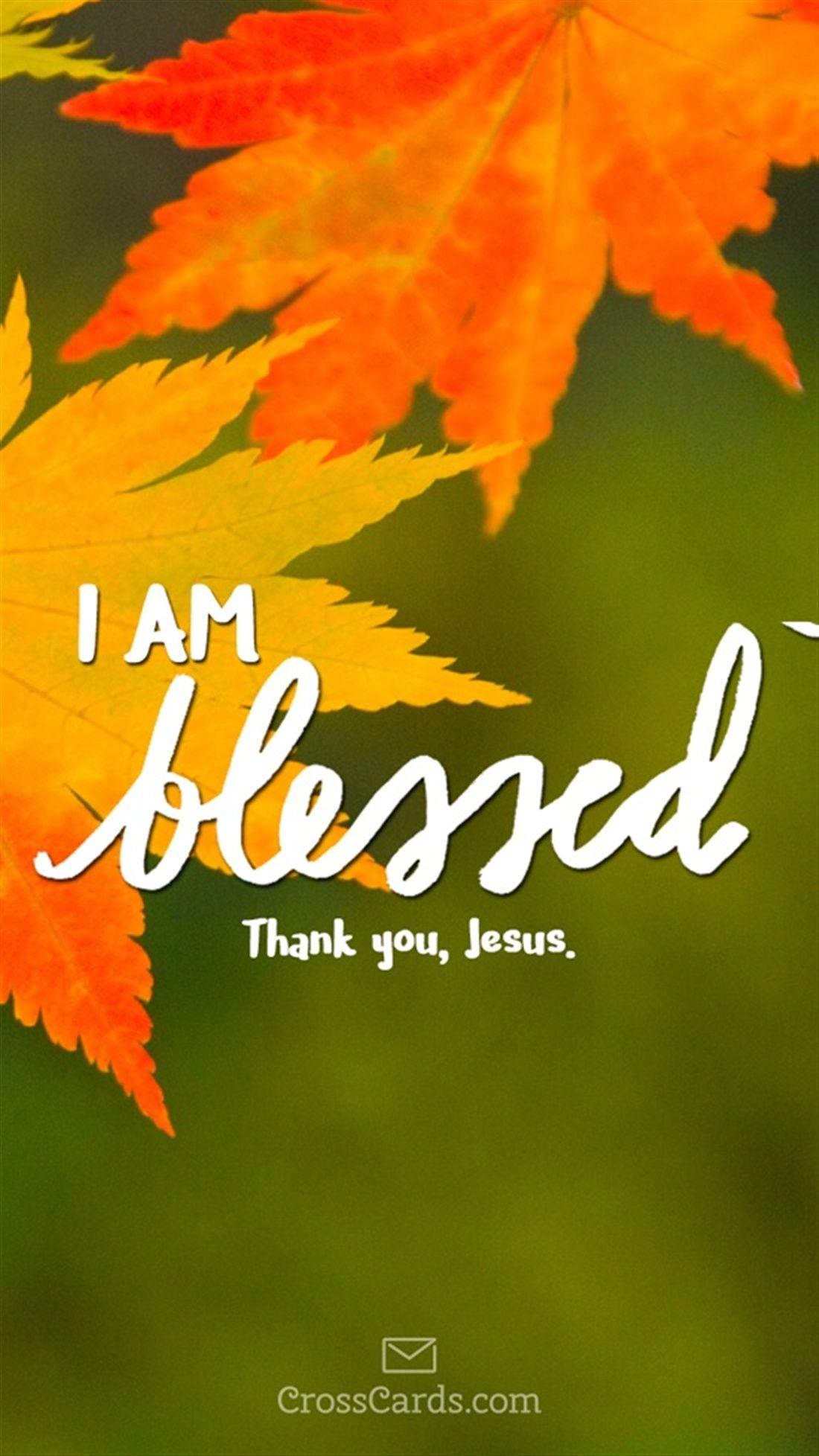 I Am Blessed Wallpapers Top Free I Am Blessed Backgrounds Wallpaperaccess