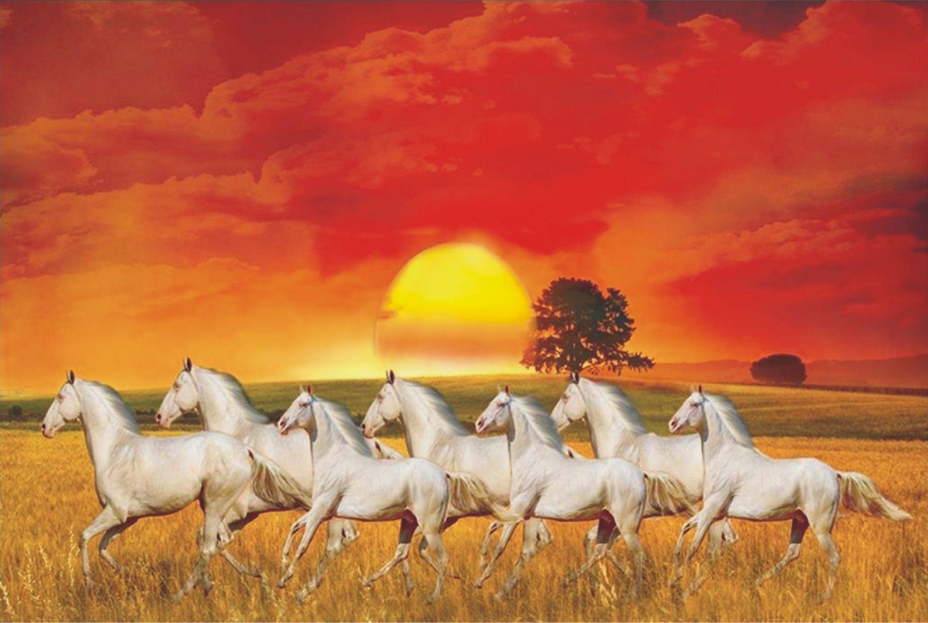 Seven Horses Wallpapers - Top Những Hình Ảnh Đẹp