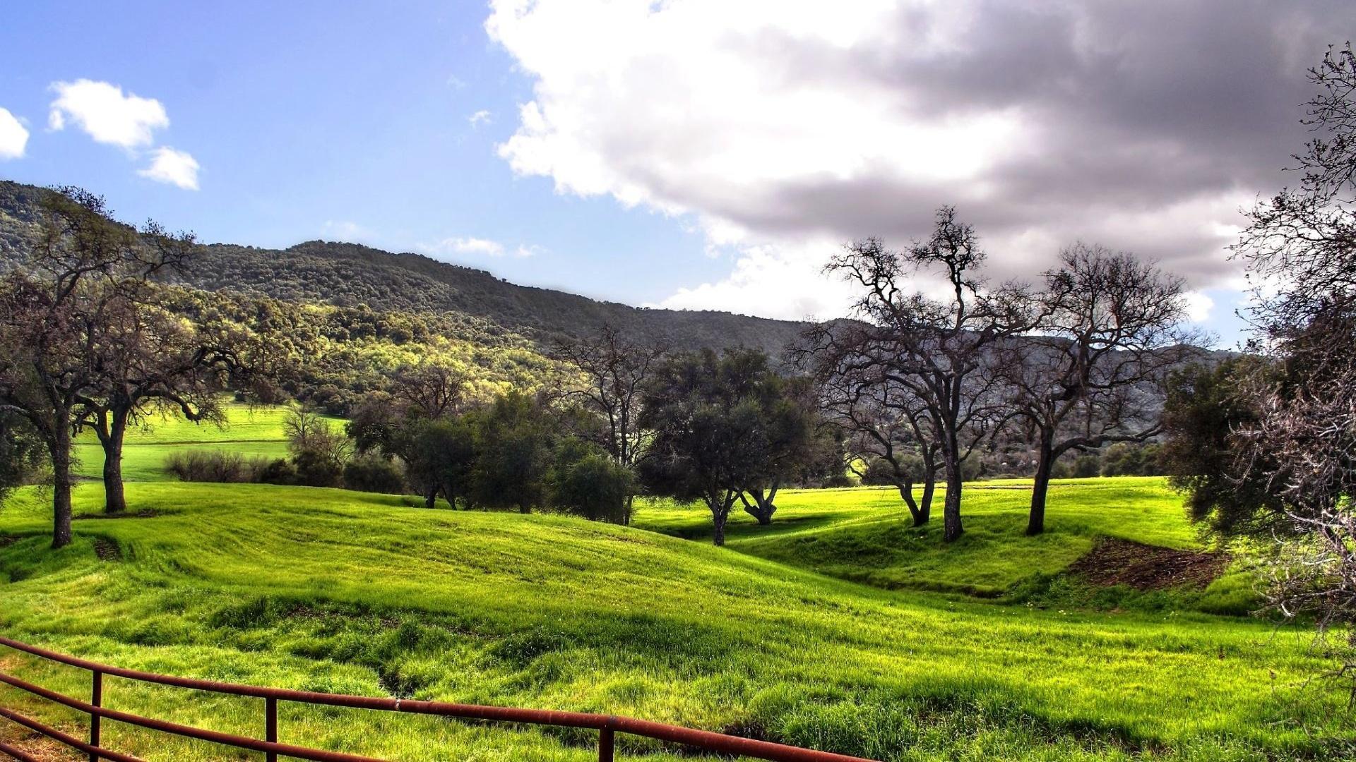 1920x1080 Spring Meadow HD 32110 1920x1080 px