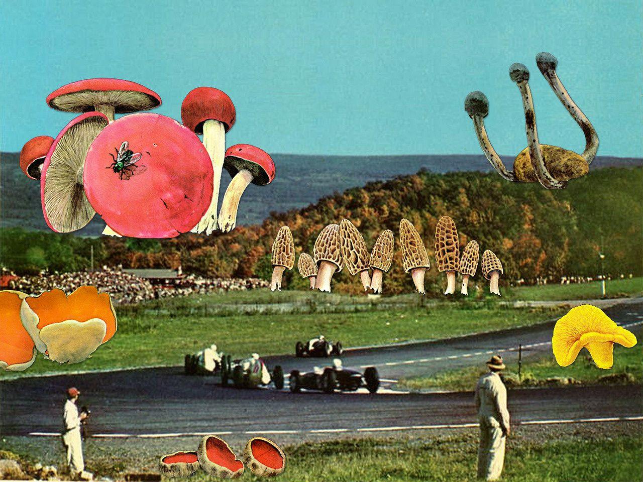 1280x960 The Spaghetti Moons And Disco Ball Boyfriends Of Collage Artist Eugenia Loli