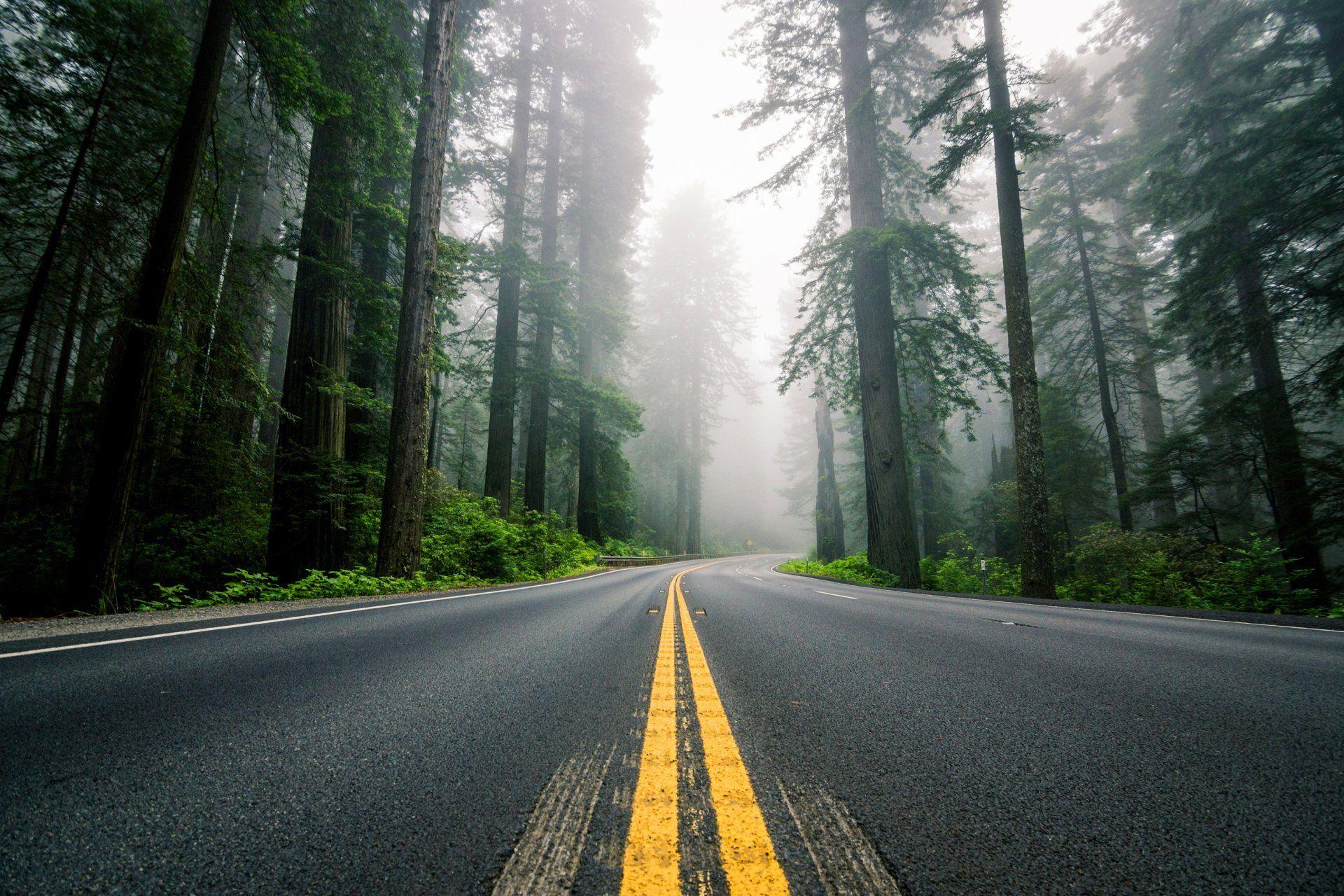 1920x1280 united states north america road highway counting forest redwoods