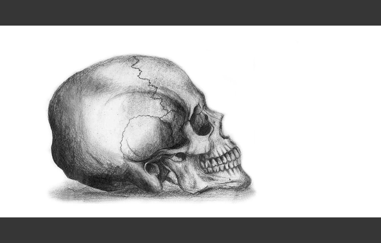 1332x850 Wallpaper sake, white, art, death, pencil, drawing image for desktop, section разное