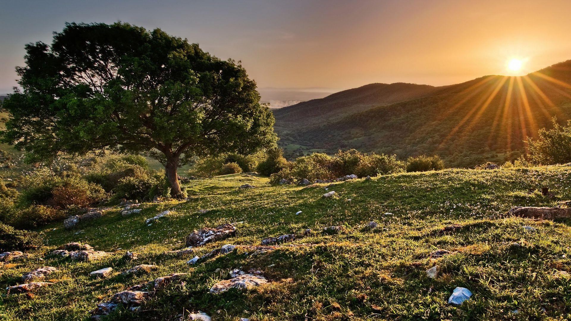 1920x1080 Download Picture Landscape