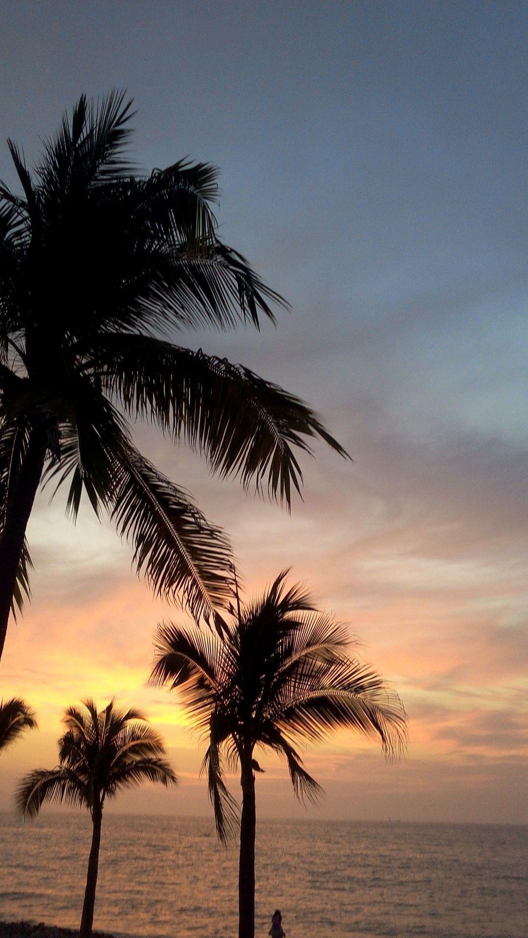 1080x1920 palmeras // fondo. Sky aesthetic, Sunset wallpaper, Beach wallpaper