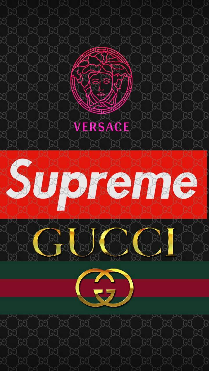 Download Gucci Supreme Logo On A Black Background Wallpaper  Wallpaperscom