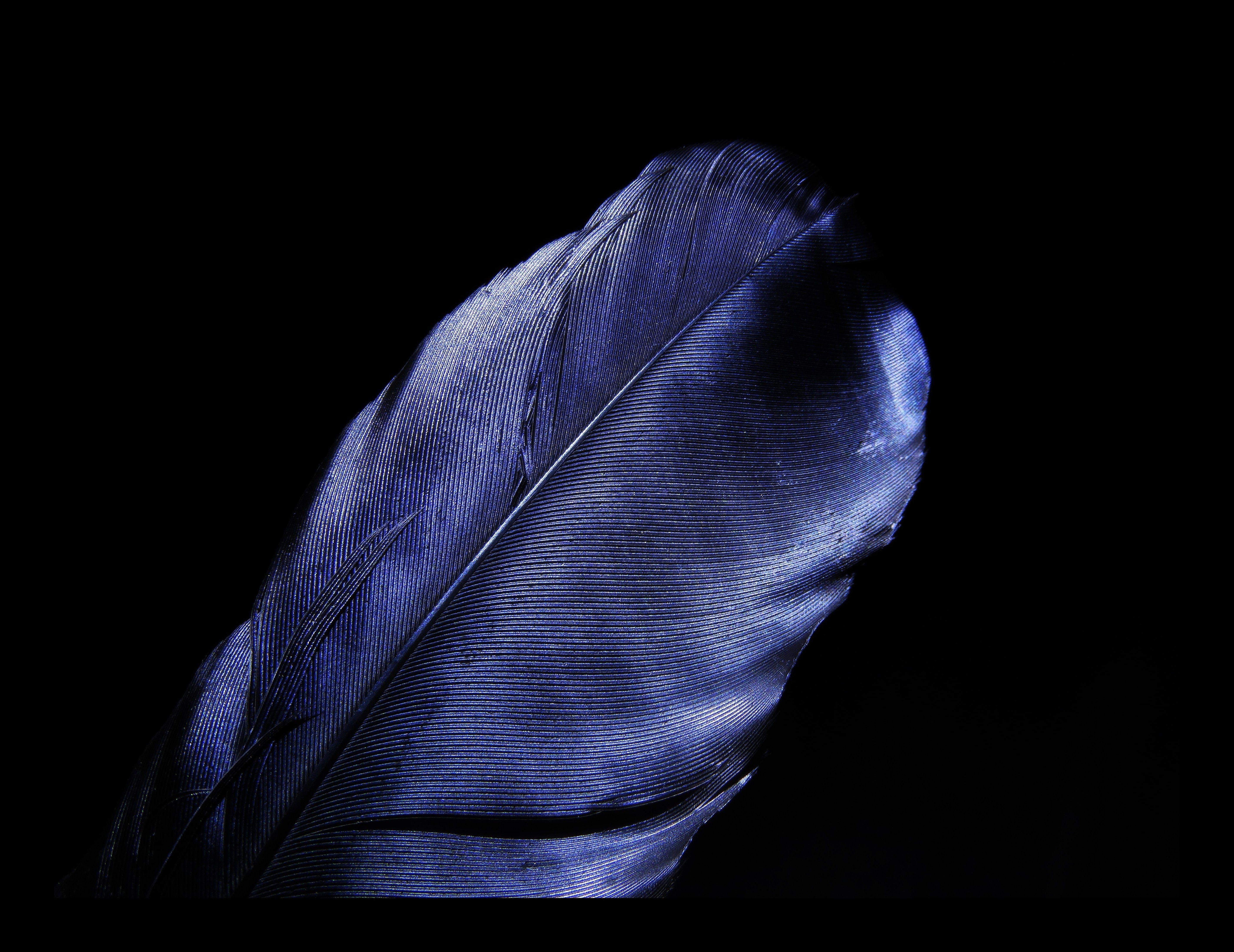 5682x4386 Wallpaper Leaf, Blue, Dark, Black, HD, 5K, Black Dark,. Wallpaper For IPhone, Android, Mobile And Desktop