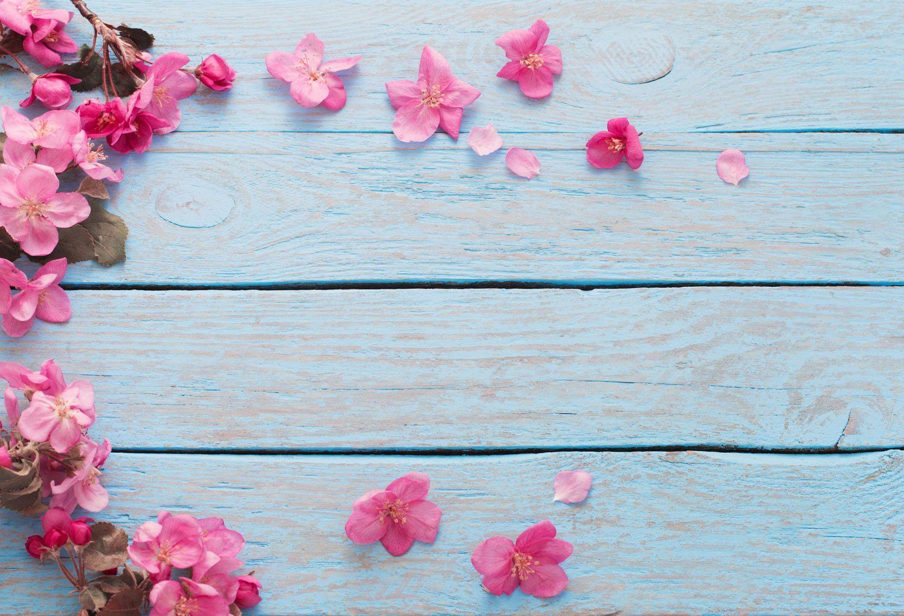 Garden Flowers Over Wooden Background Stock Photo  Download Image Now   Flower Wood  Material Backgrounds  iStock