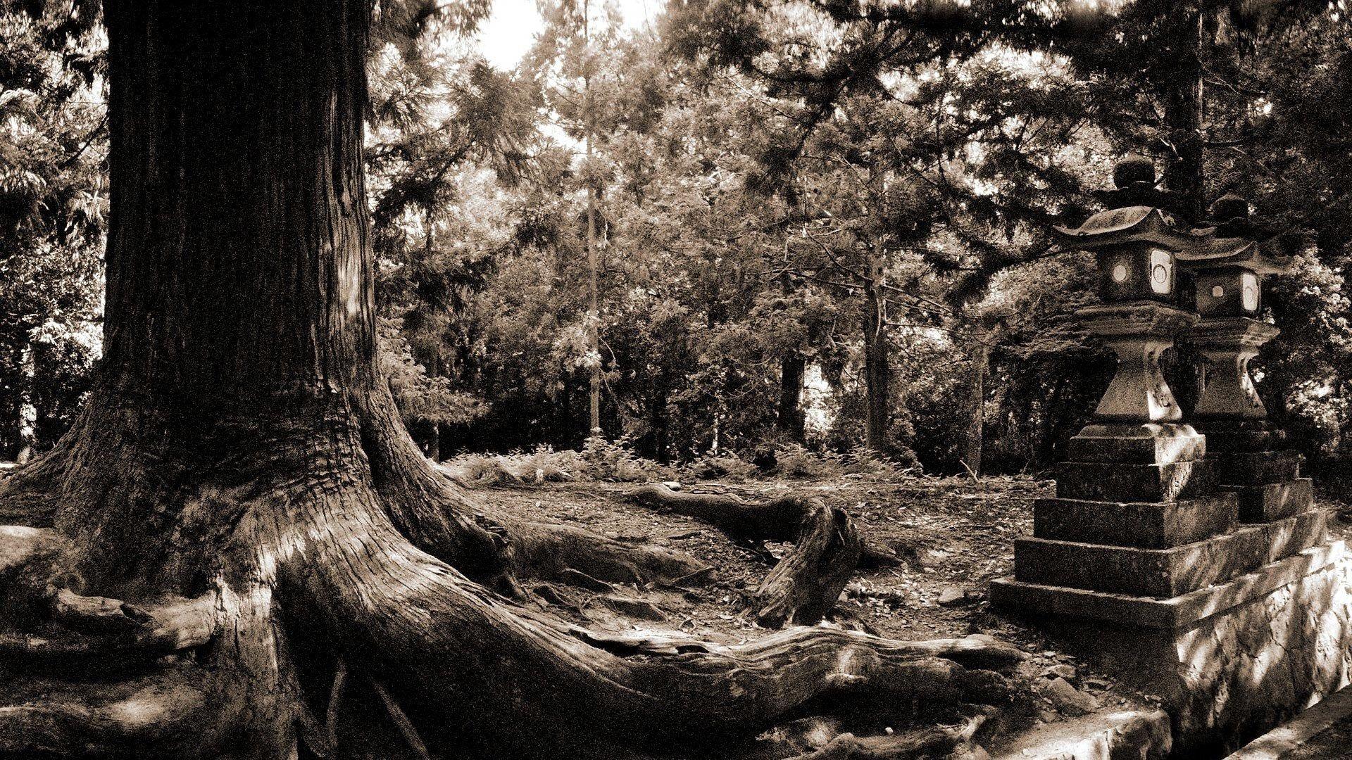 1920x1080 park forest city black white wallpaper[1920x1080]