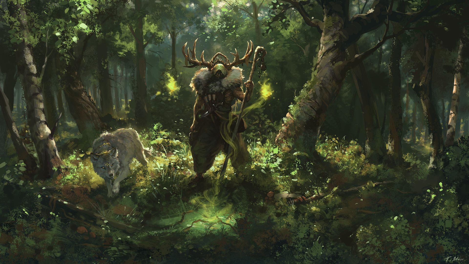 1920x1080 Fantasy Forest Wallpaper 1920x1080