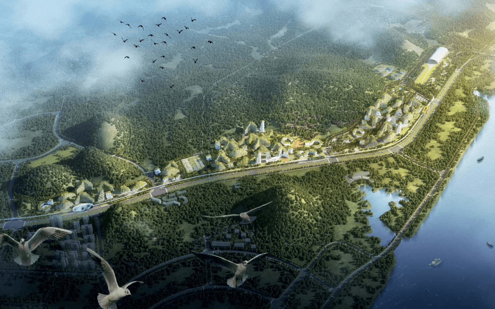 Forest City Wallpapers - Top Free Forest City Backgrounds - WallpaperAccess