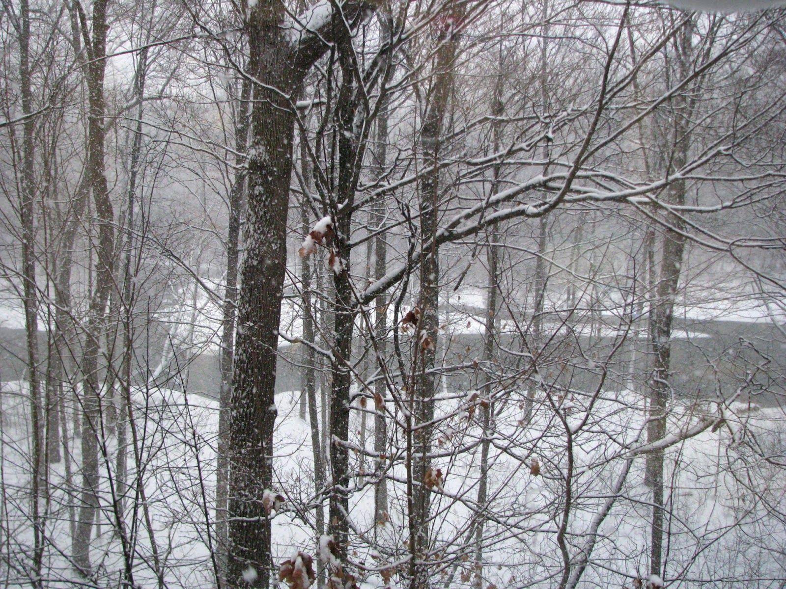 1600x1200 Forest City Fashionista: It's Beginning to Look A Lot Like (Vintage) Christmas
