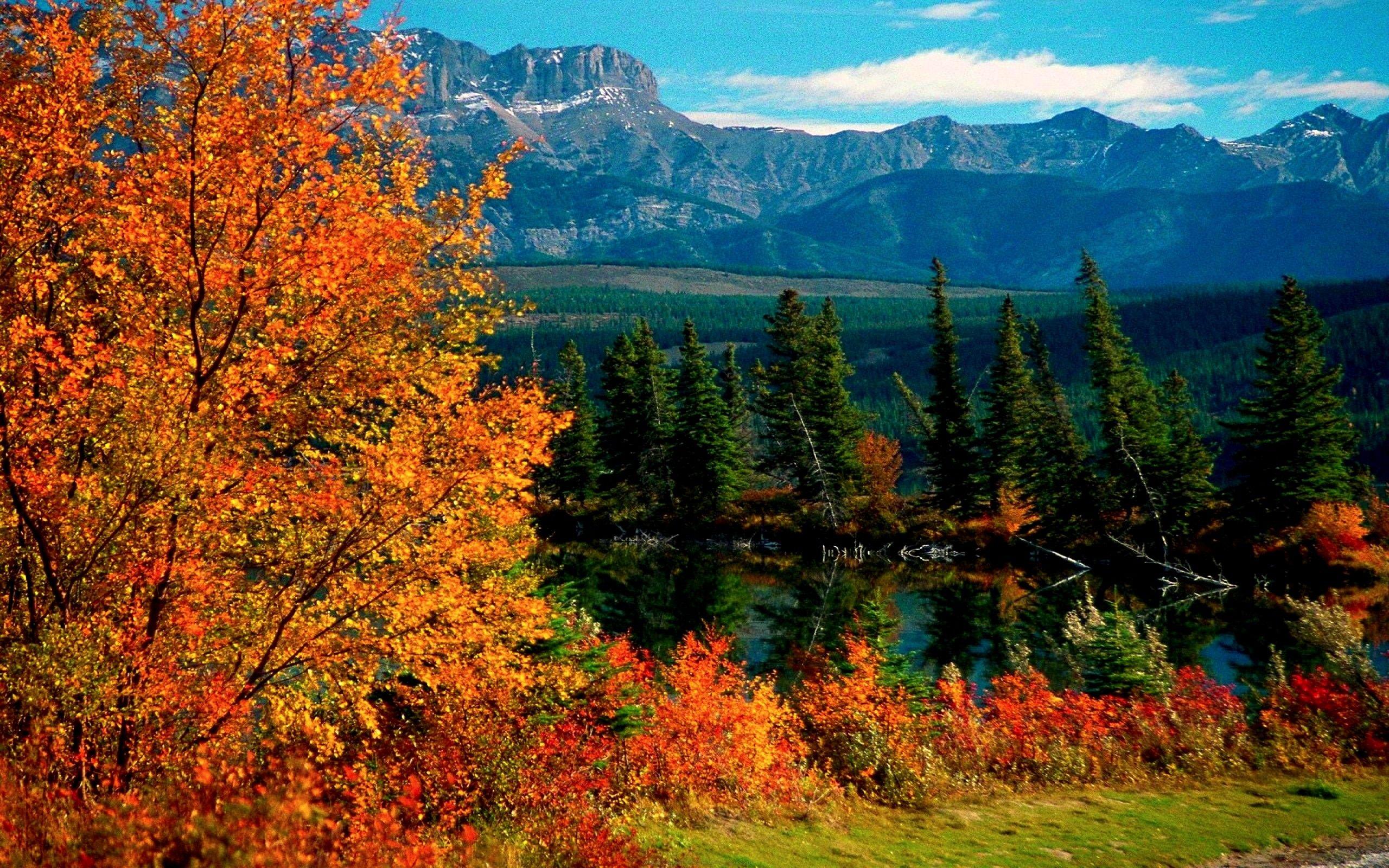 2560x1600 Amusement Parks: JASPER NATIONAL PARK Rocky Mountains Alberta